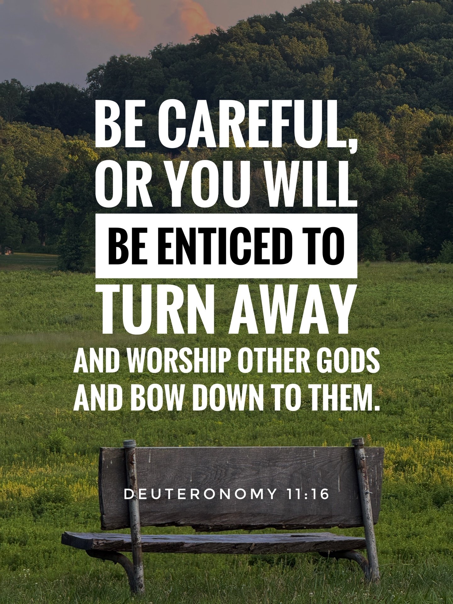 Deuteronomy 11:16