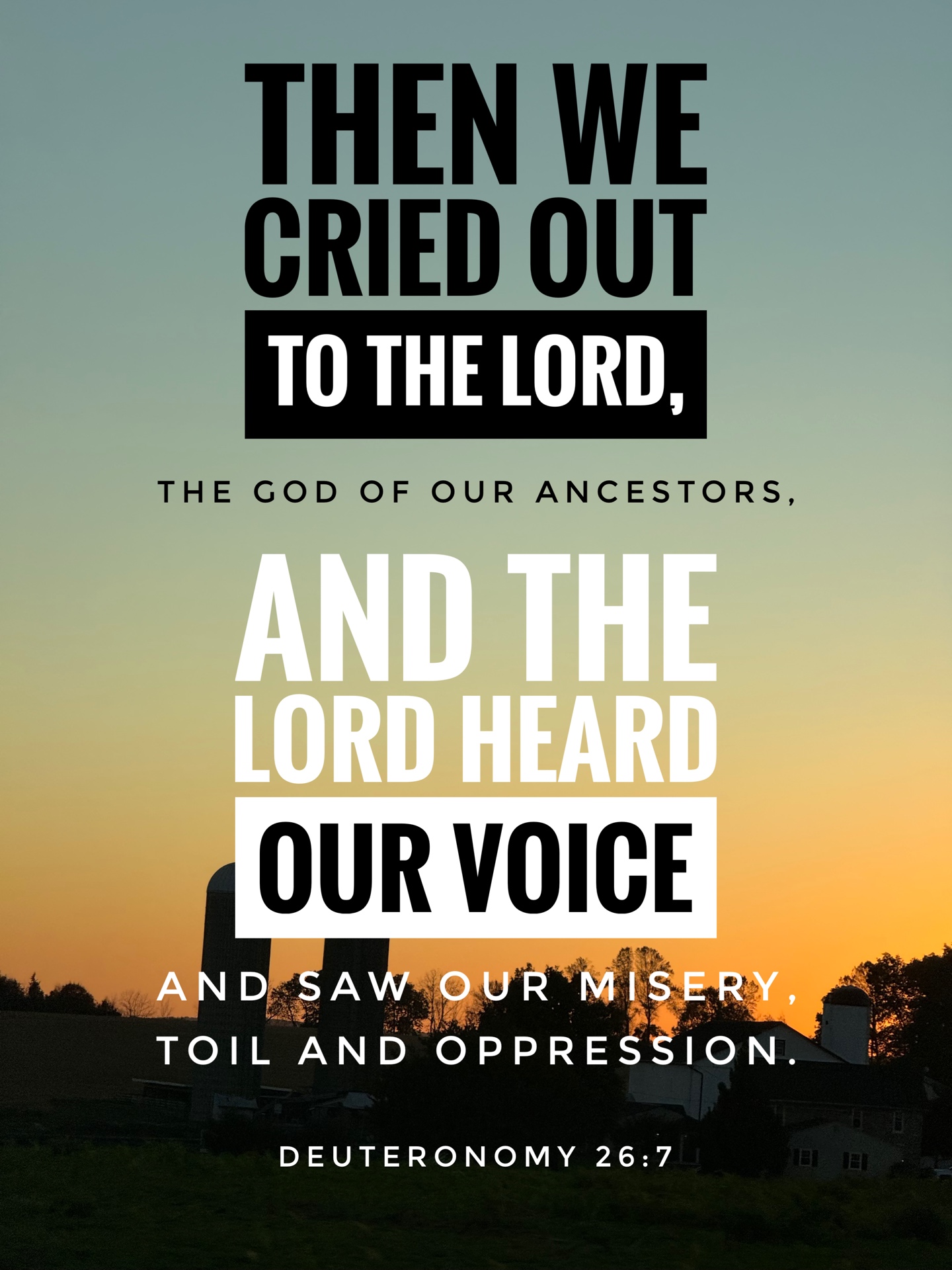 Deuteronomy 26:7