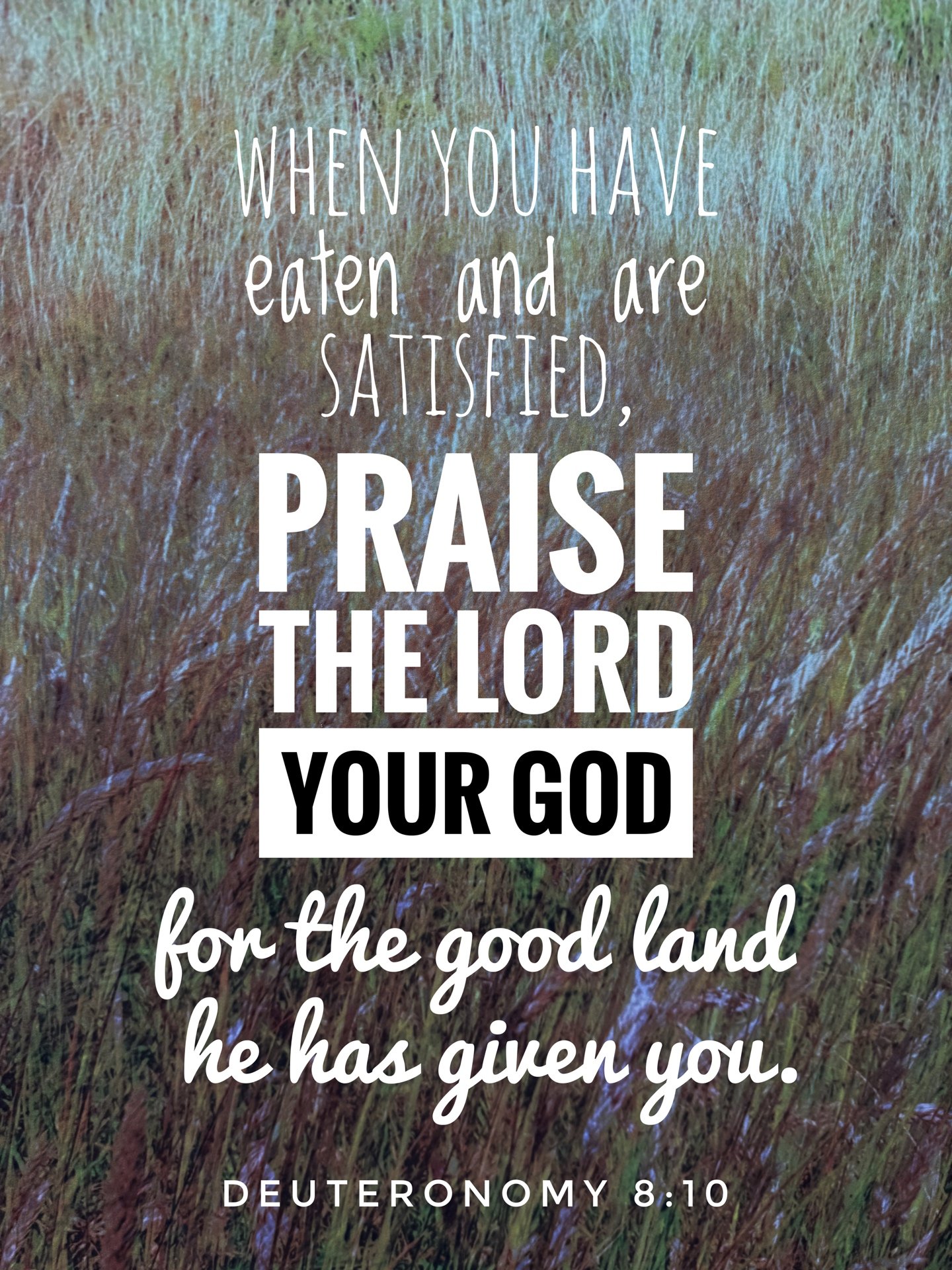 Deuteronomy 8:10