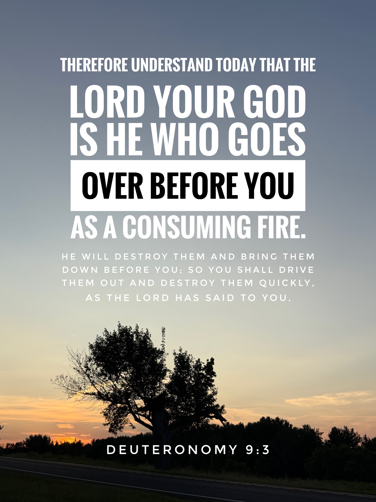 Deuteronomy 9:3