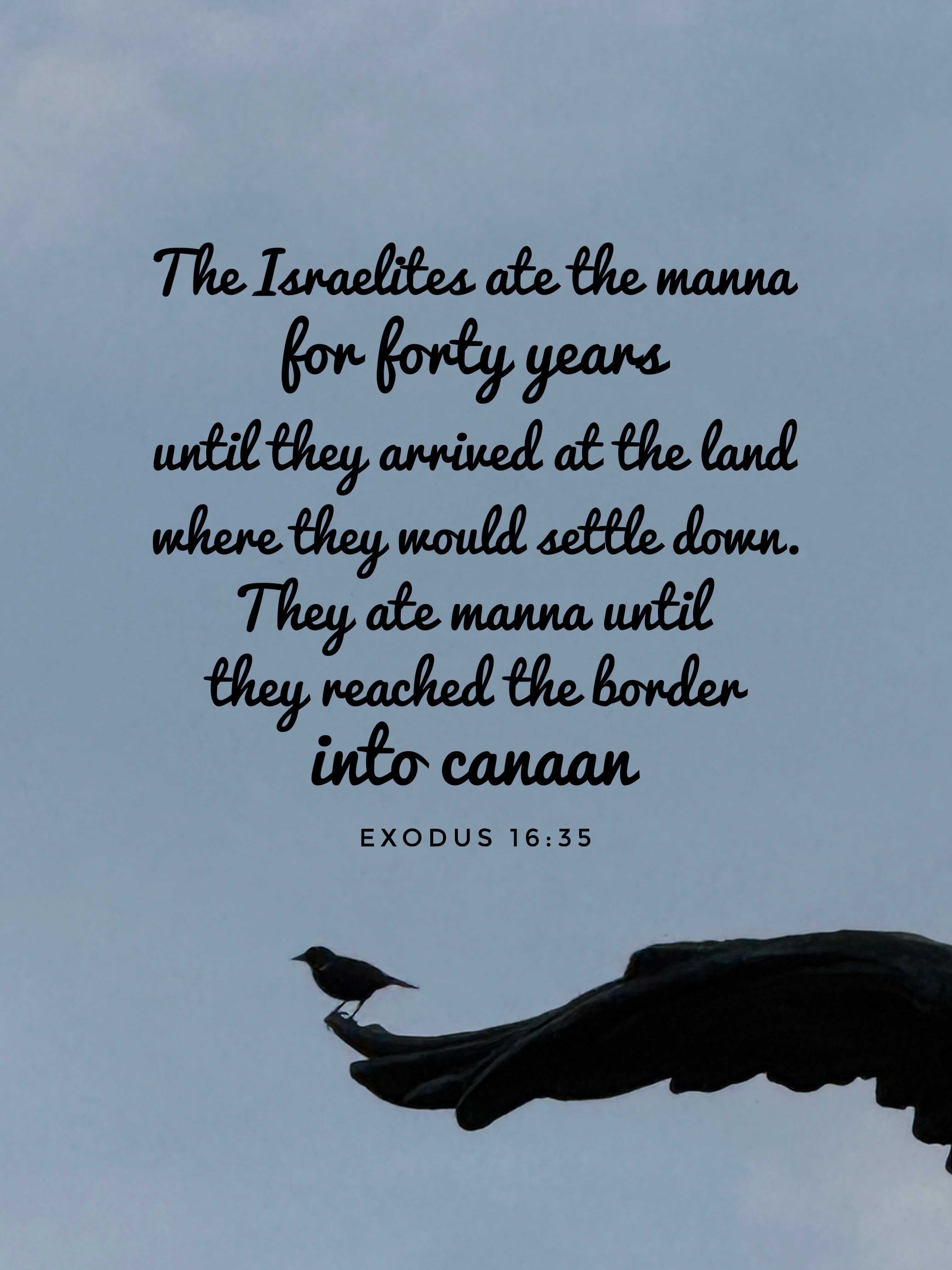 Verse Asset