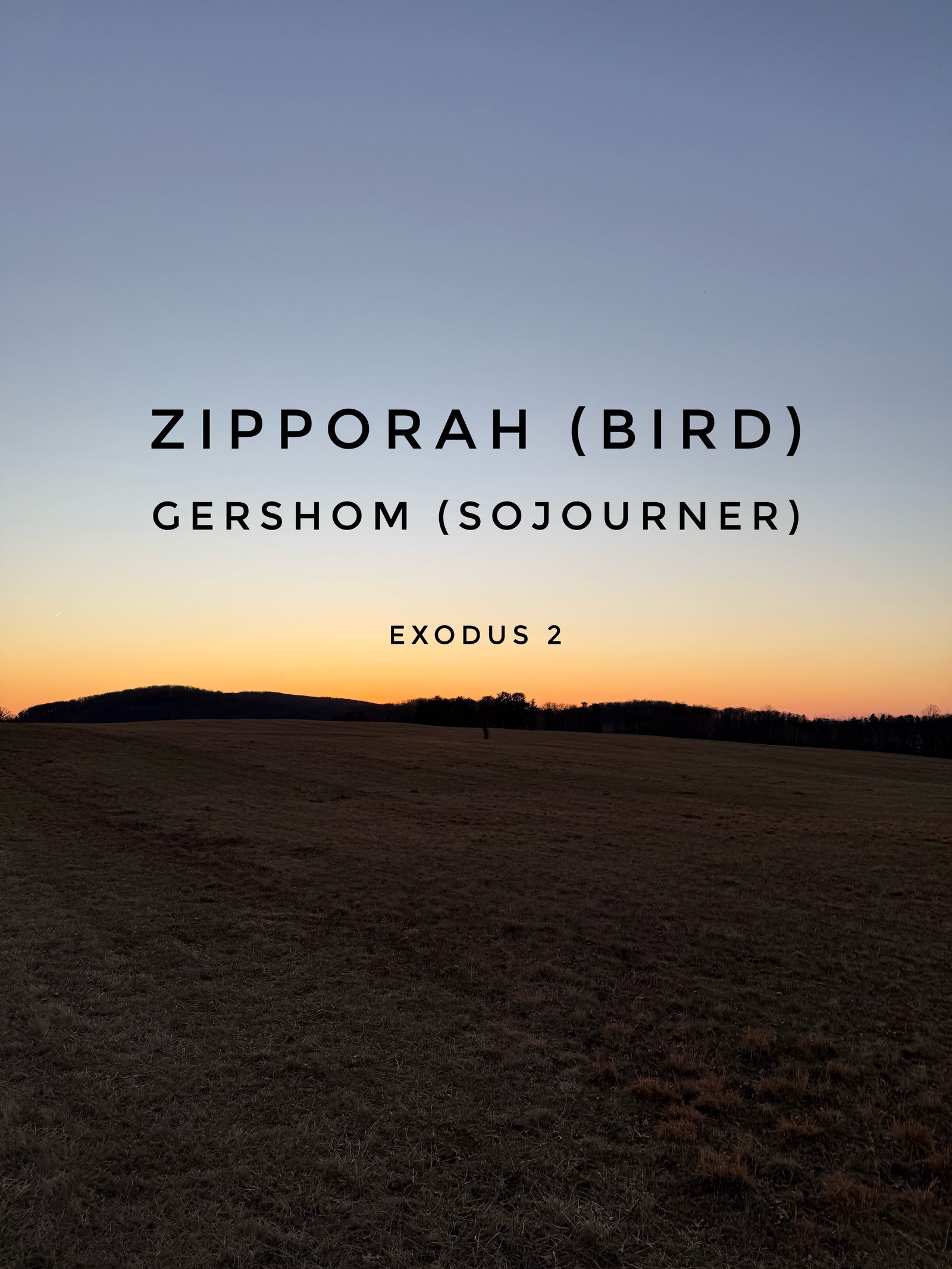 Exodus 2