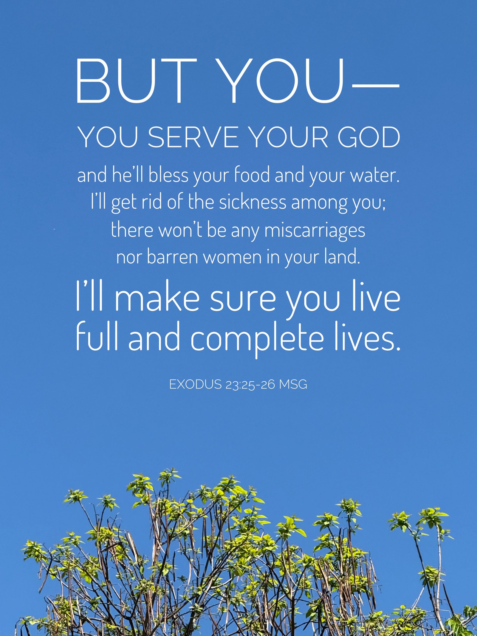 Exodus 23:25-26
