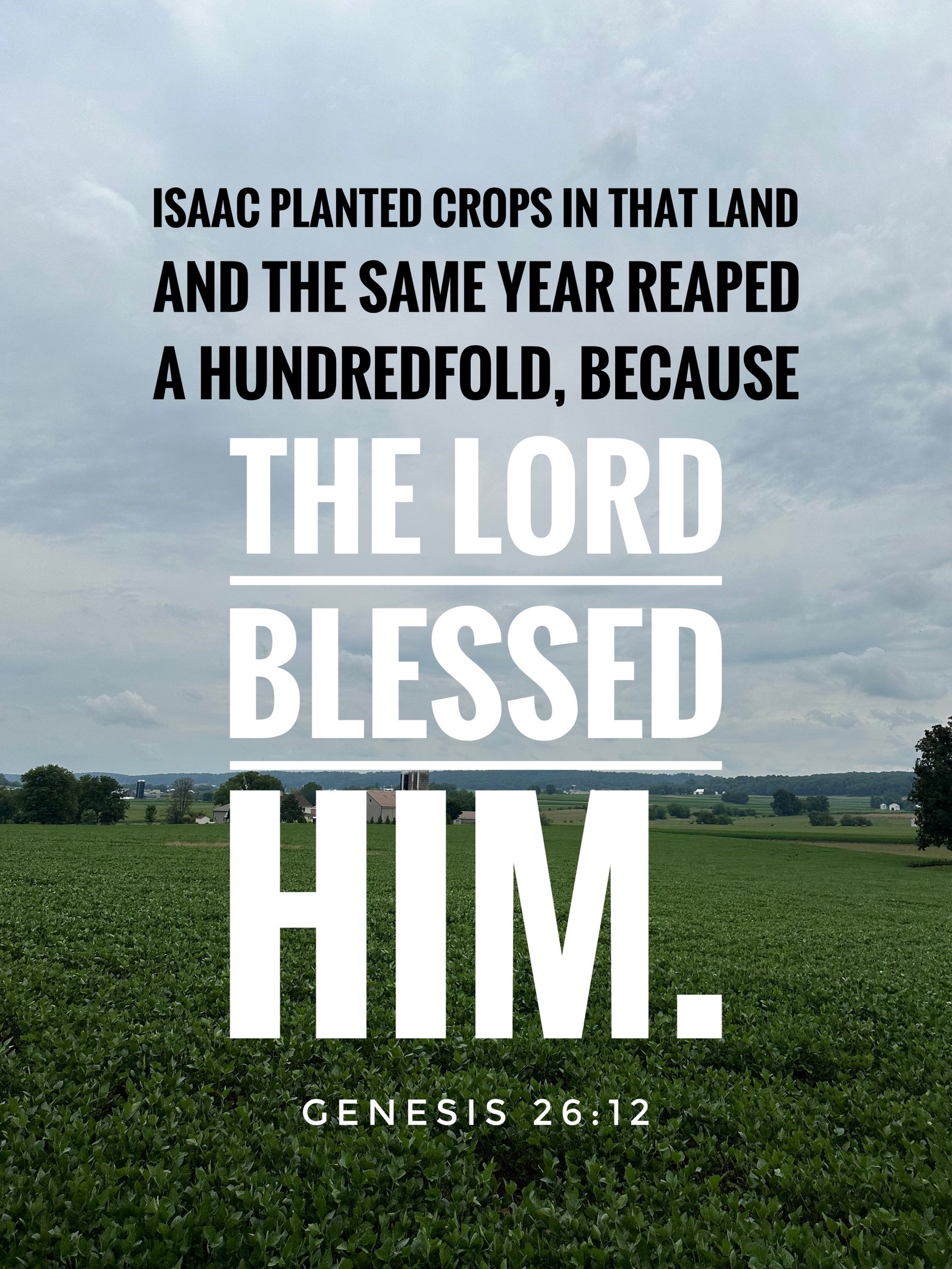 Genesis 26:12