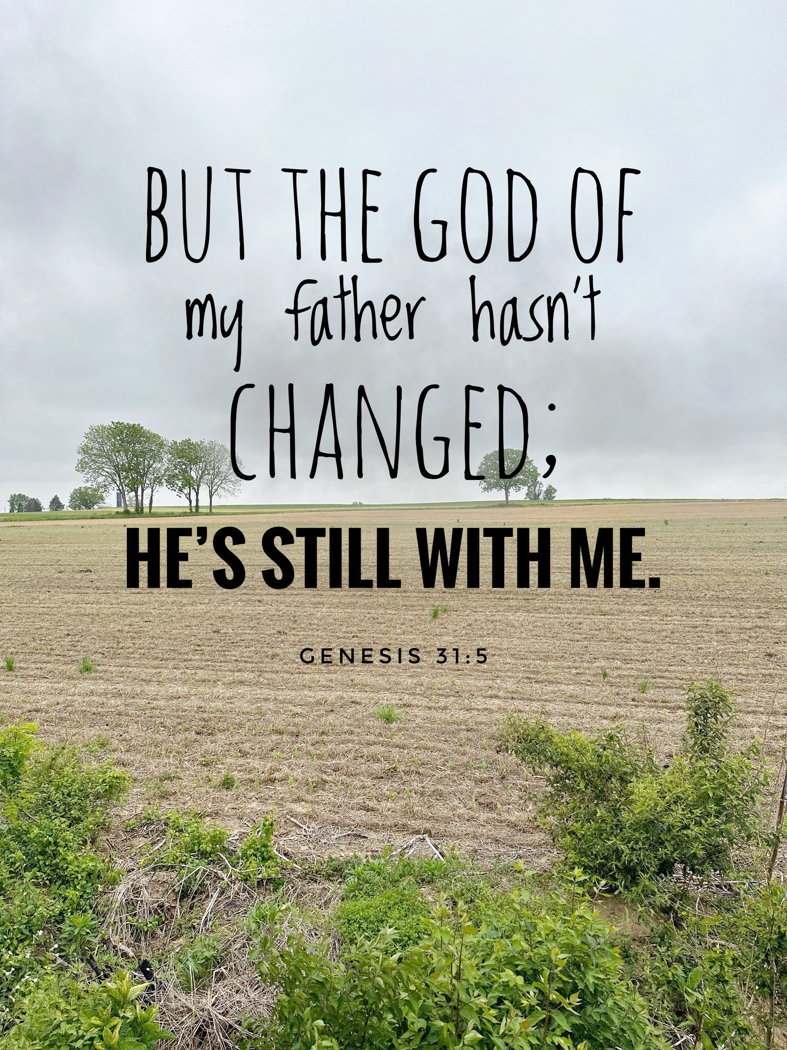 Genesis 31:5