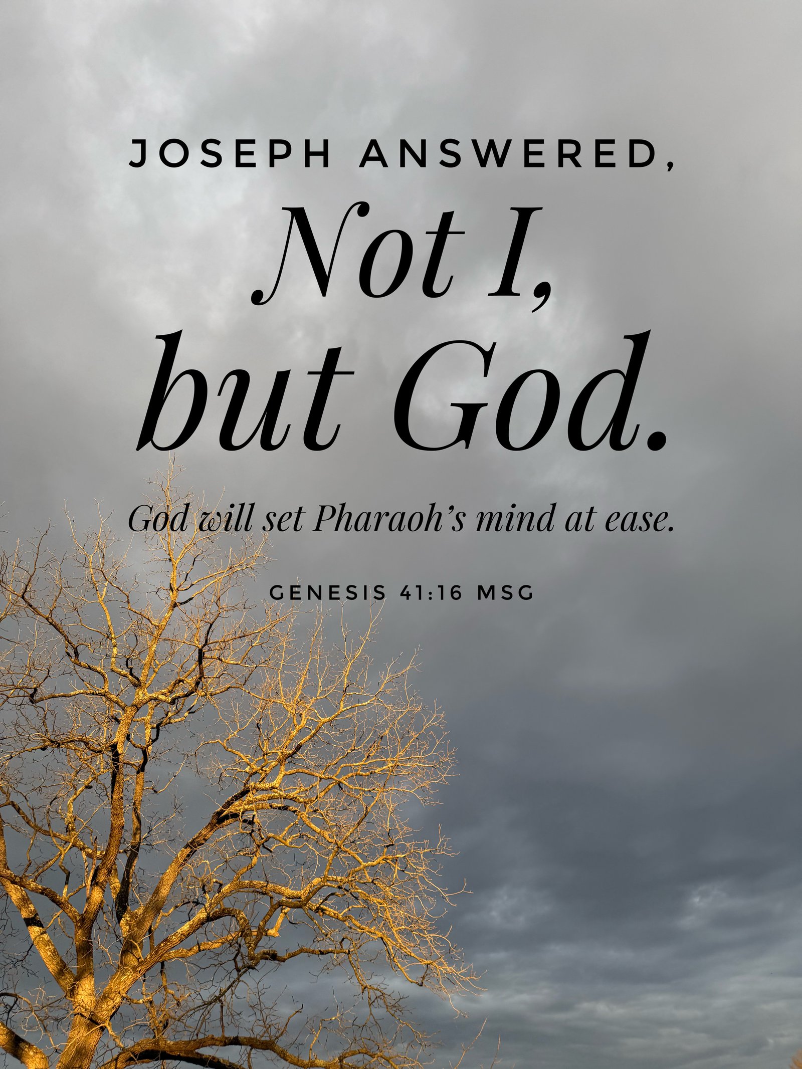 Genesis 41:16
