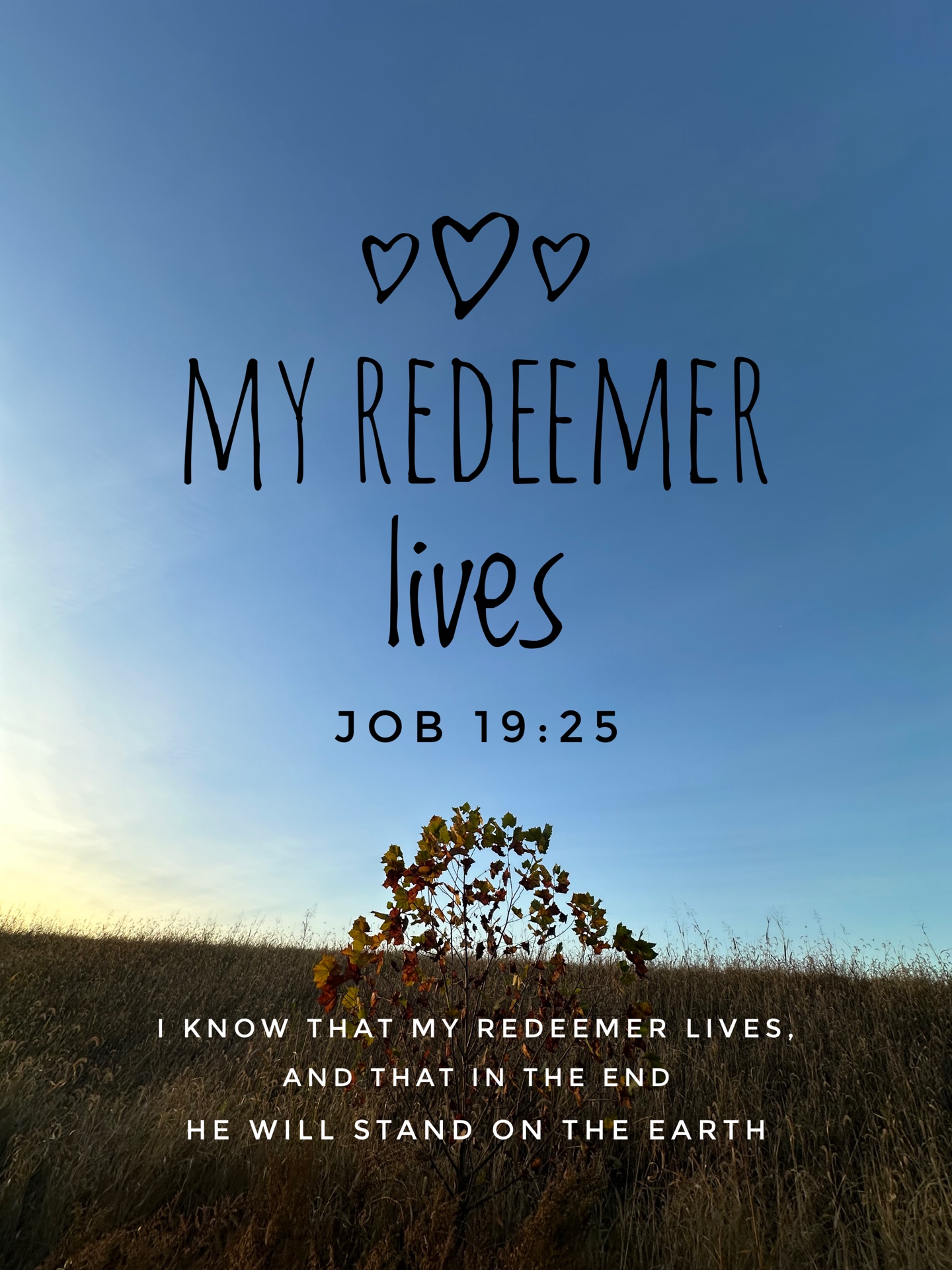 Job 19:25