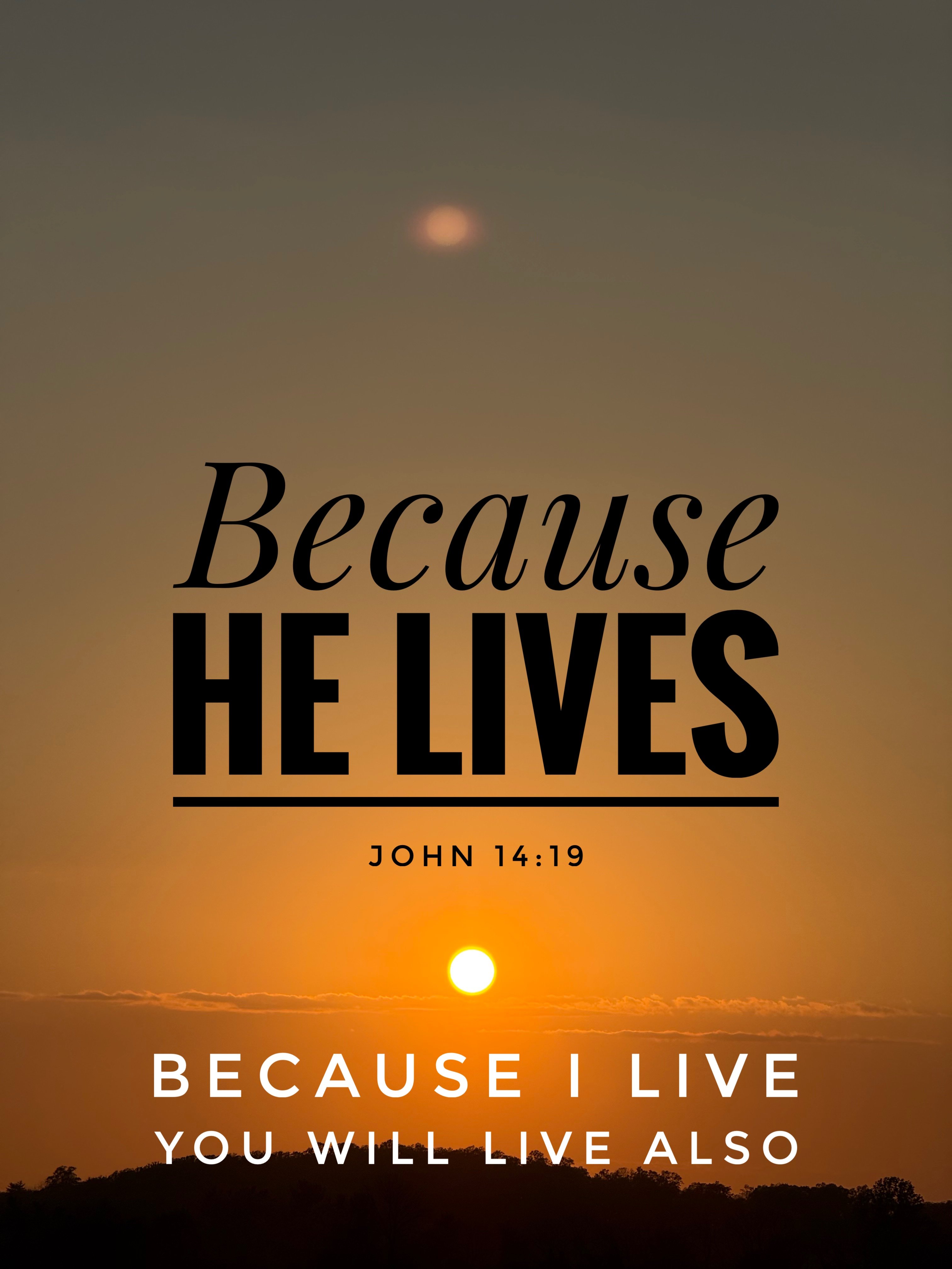 John 14:19