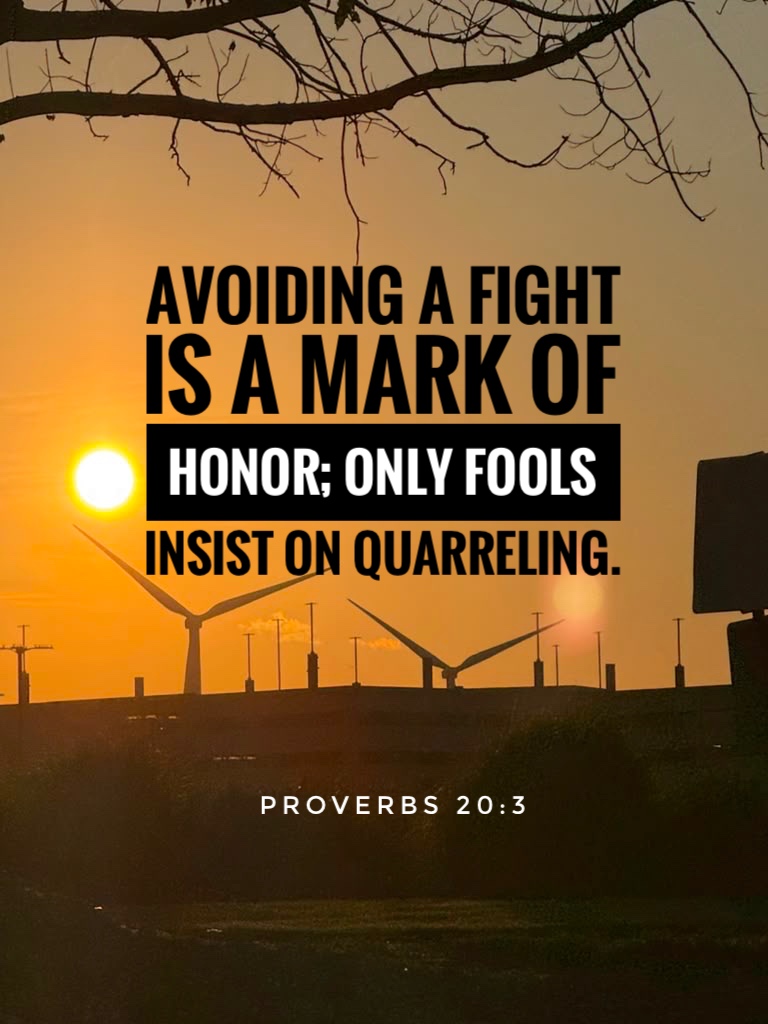 Proverbs 20:3