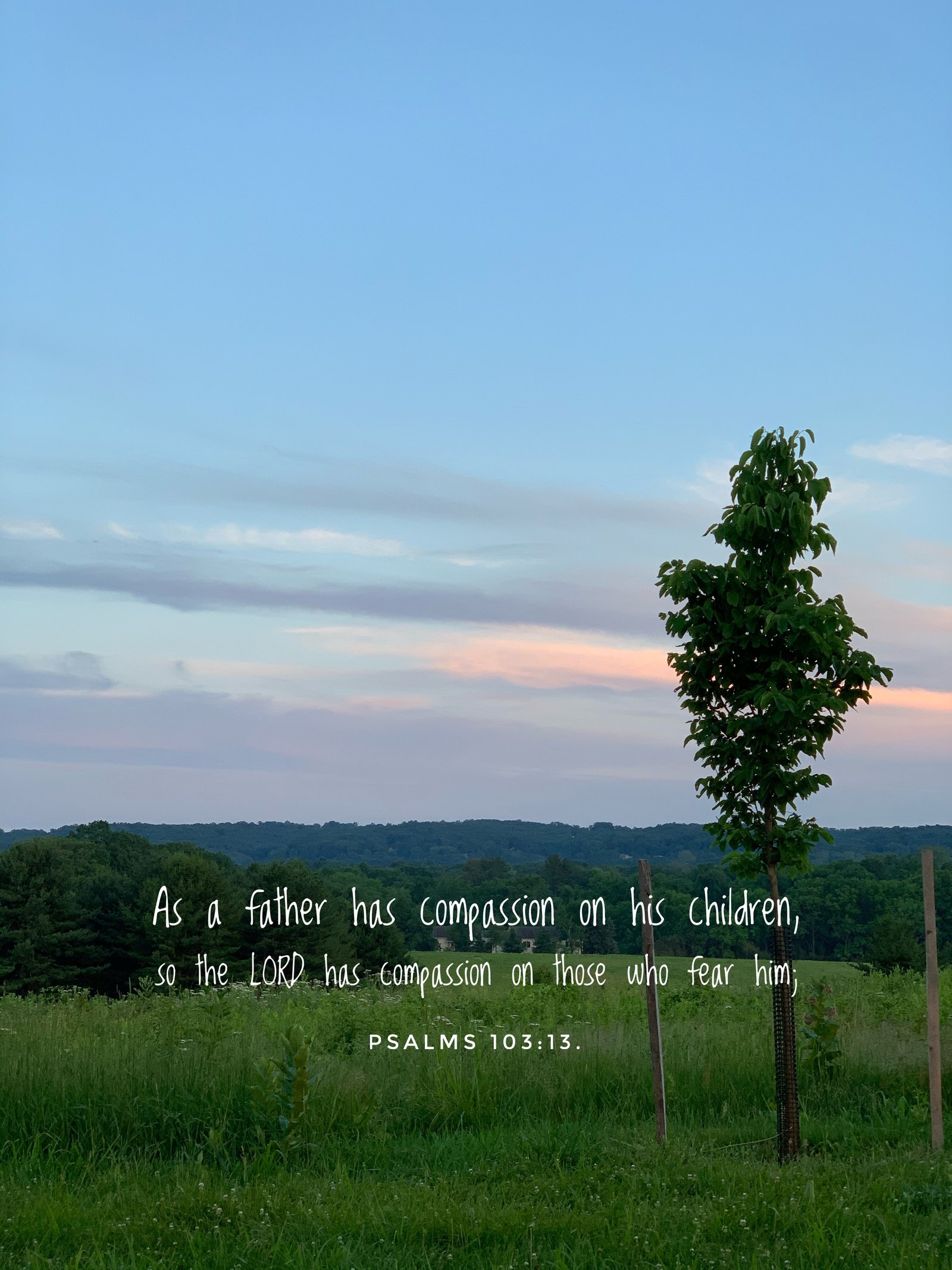 Psalm 103:13