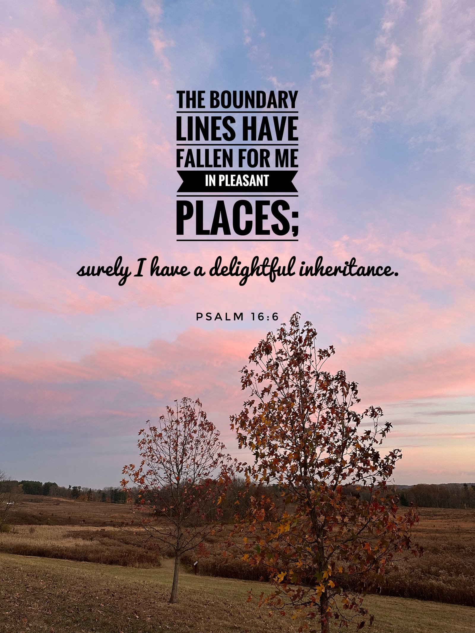 Psalm 16:6