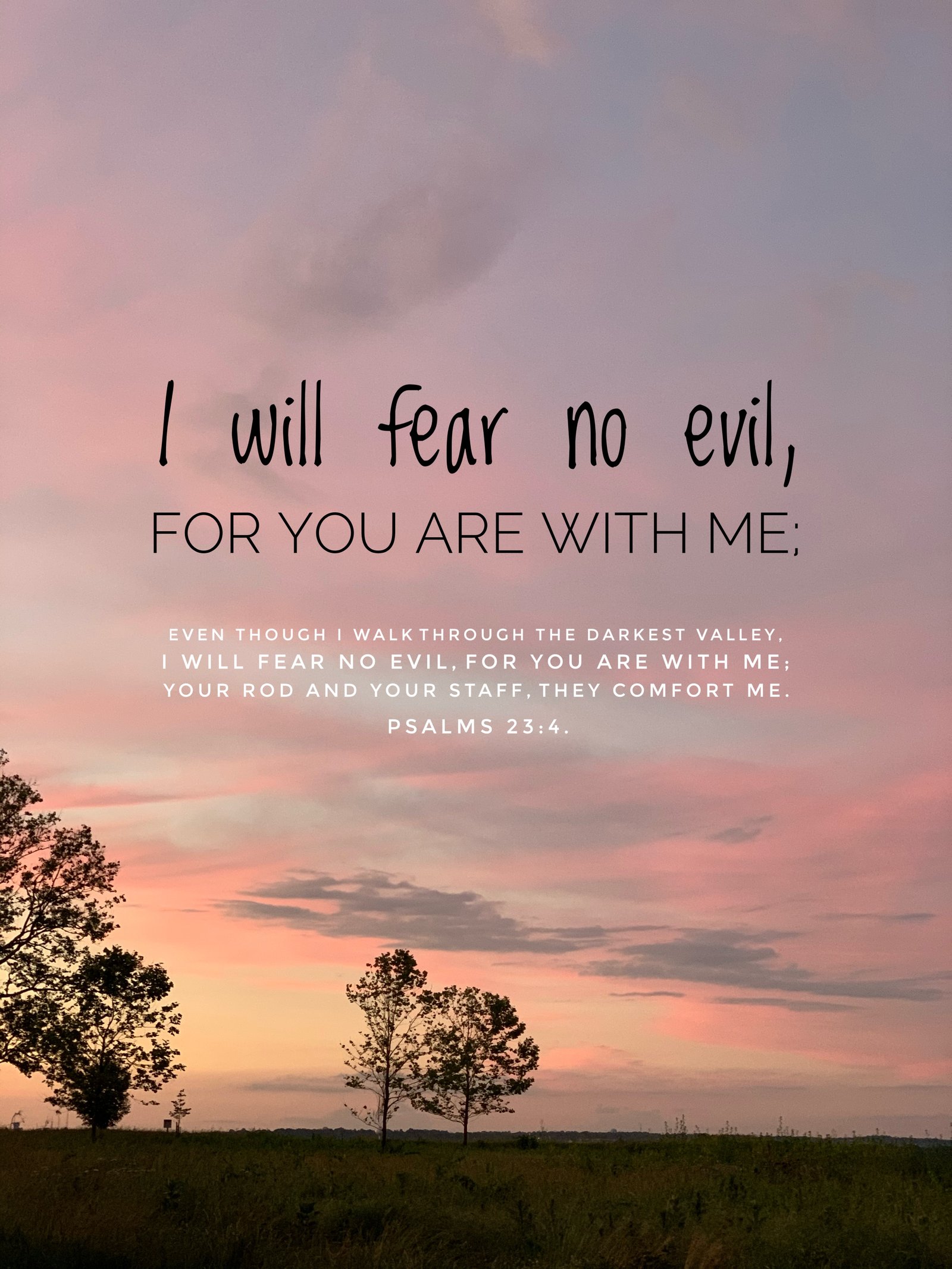 Psalm 23:4