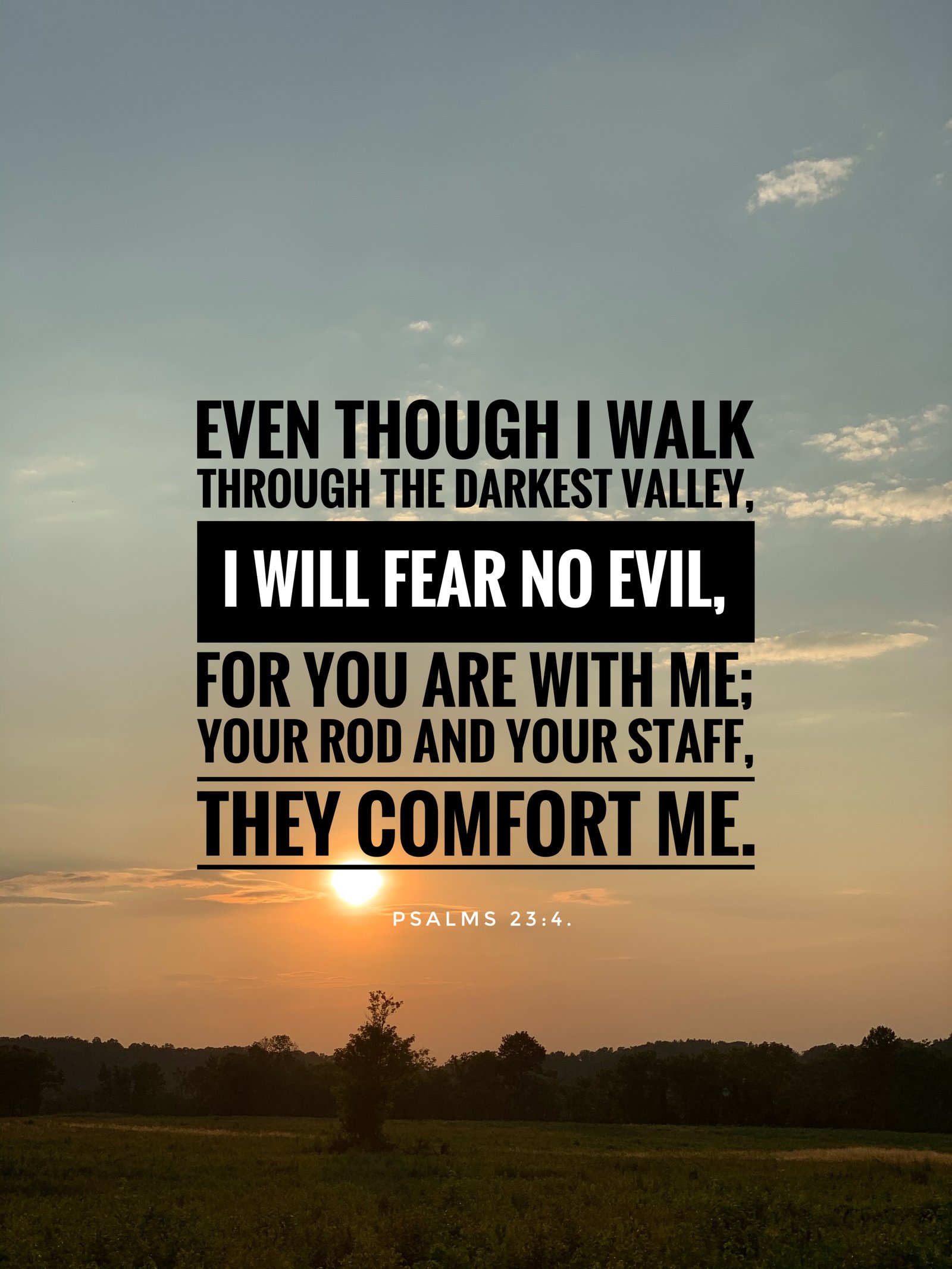 Psalm 23:4