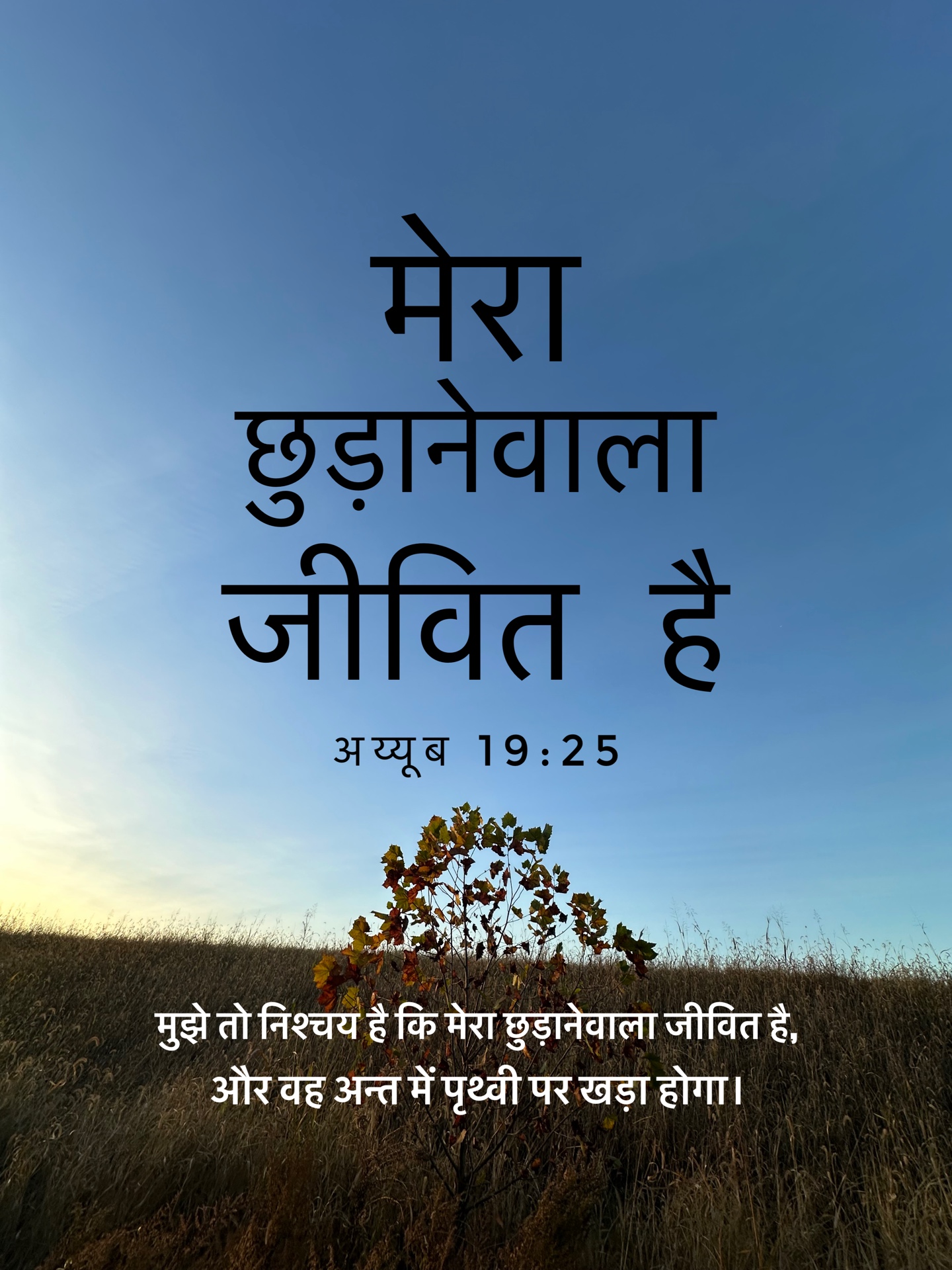 Job 19:25 - मुझे तो निश्चय है, कि मेरा छुड़ाने वाला जीवित है, और वह अन्त में पृथ्वी पर खड़ा होगा