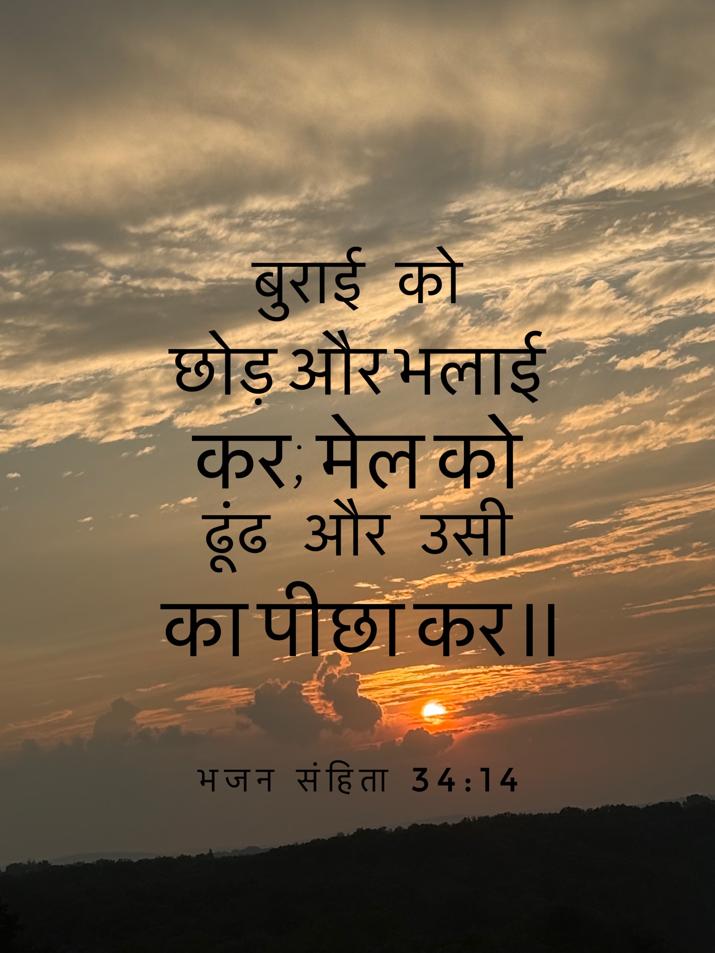 Psalm 34:14 - बुराई को छोड़ और भलाई कर; मेल को ढूंढ और उसी का पीछा कर॥