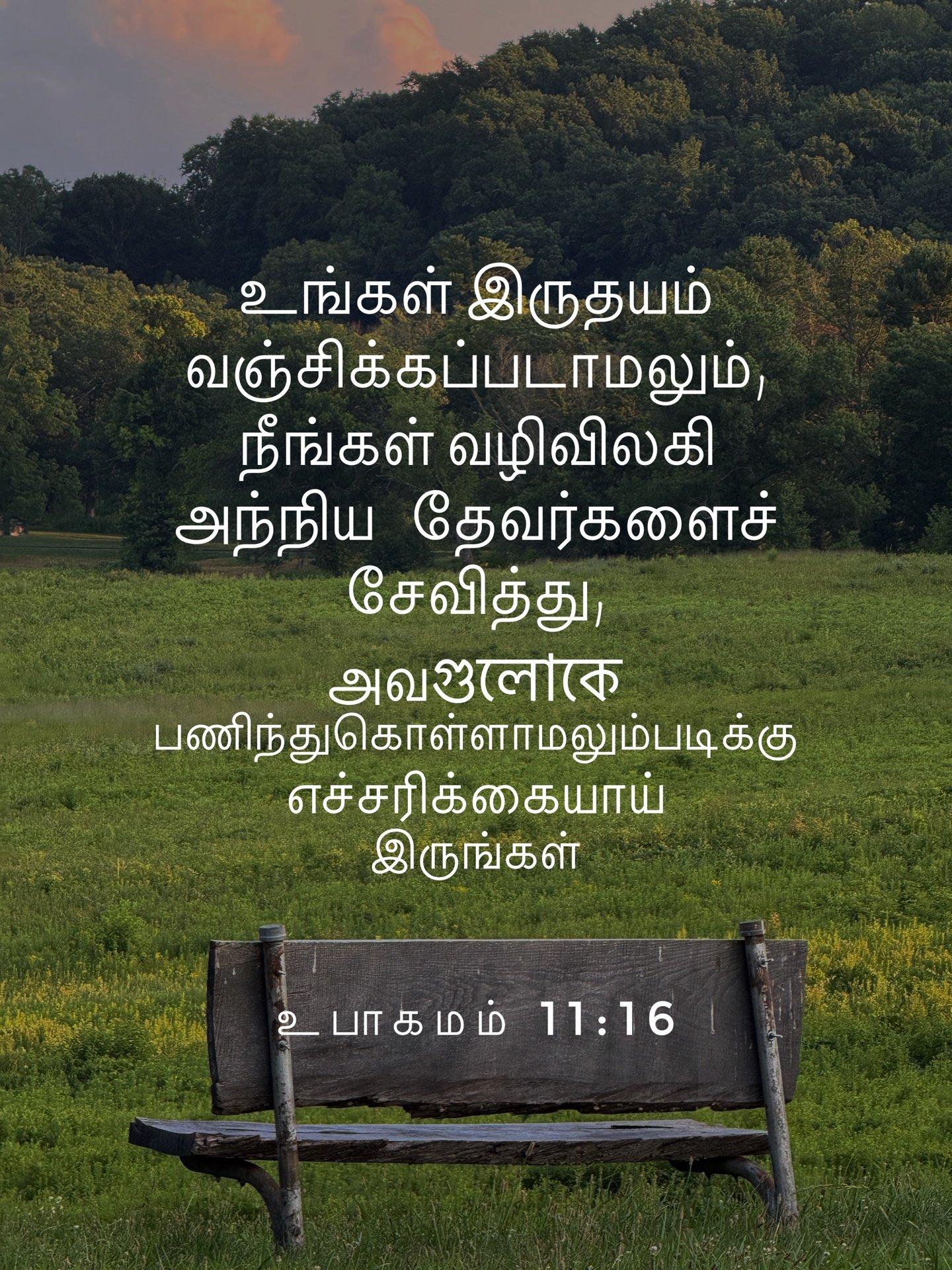 Deuteronomy 11:16
