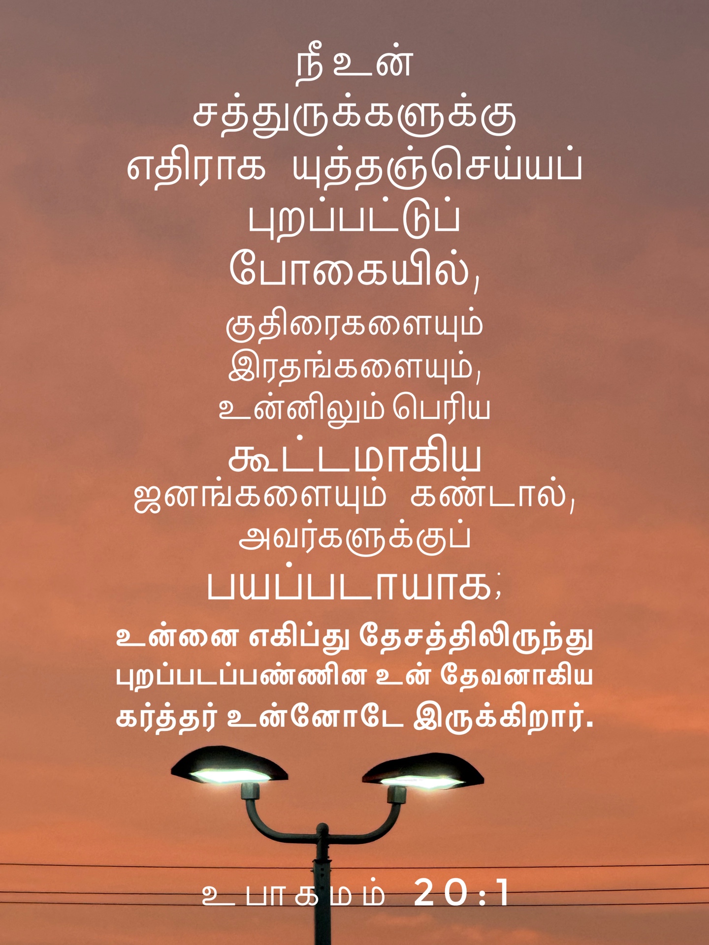 Deuteronomy 20:1 - "நீ உன் சத்துருக்களுக்கு எதிராக யுத்தஞ்செய்யப் புறப்பட்டுப் போகையில், குதிரைகளையும் இரதங்களையும், உன்னிலும் பெரிய கூட்டமாகிய ஜனங்களையும் கண்டால், அவர்களுக்குப் பயப்படாயாக; உன்னை எகிப்து தேசத்திலிருந்து புறப்படப்பண்ணின உன் தேவனாகிய கர்த்தர் உன்னோடே இருக்கிறார்.