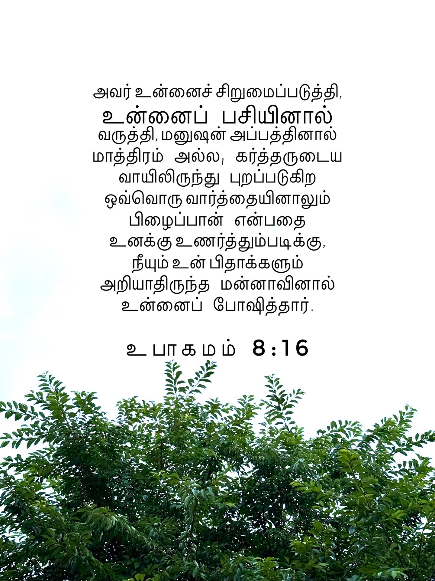Deuteronomy 8:16