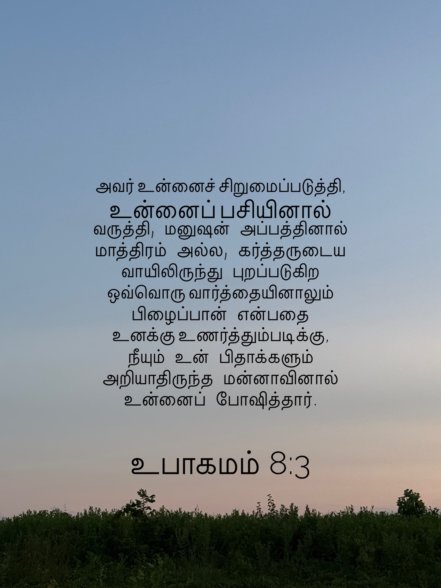 Deuteronomy 8:3