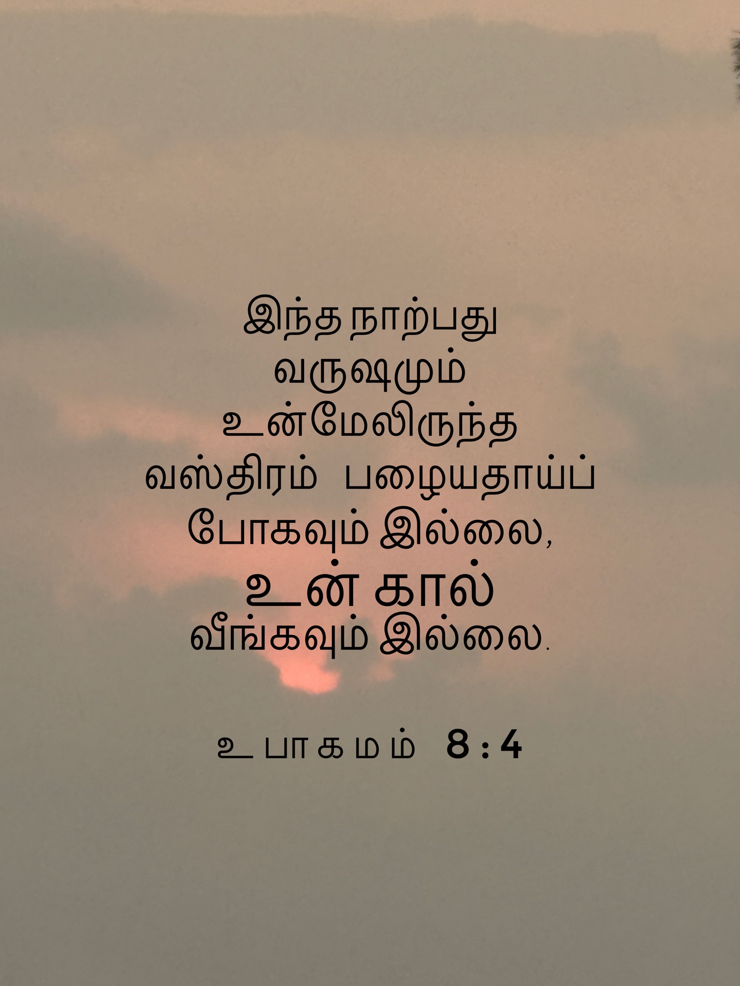 Deuteronomy 8:4