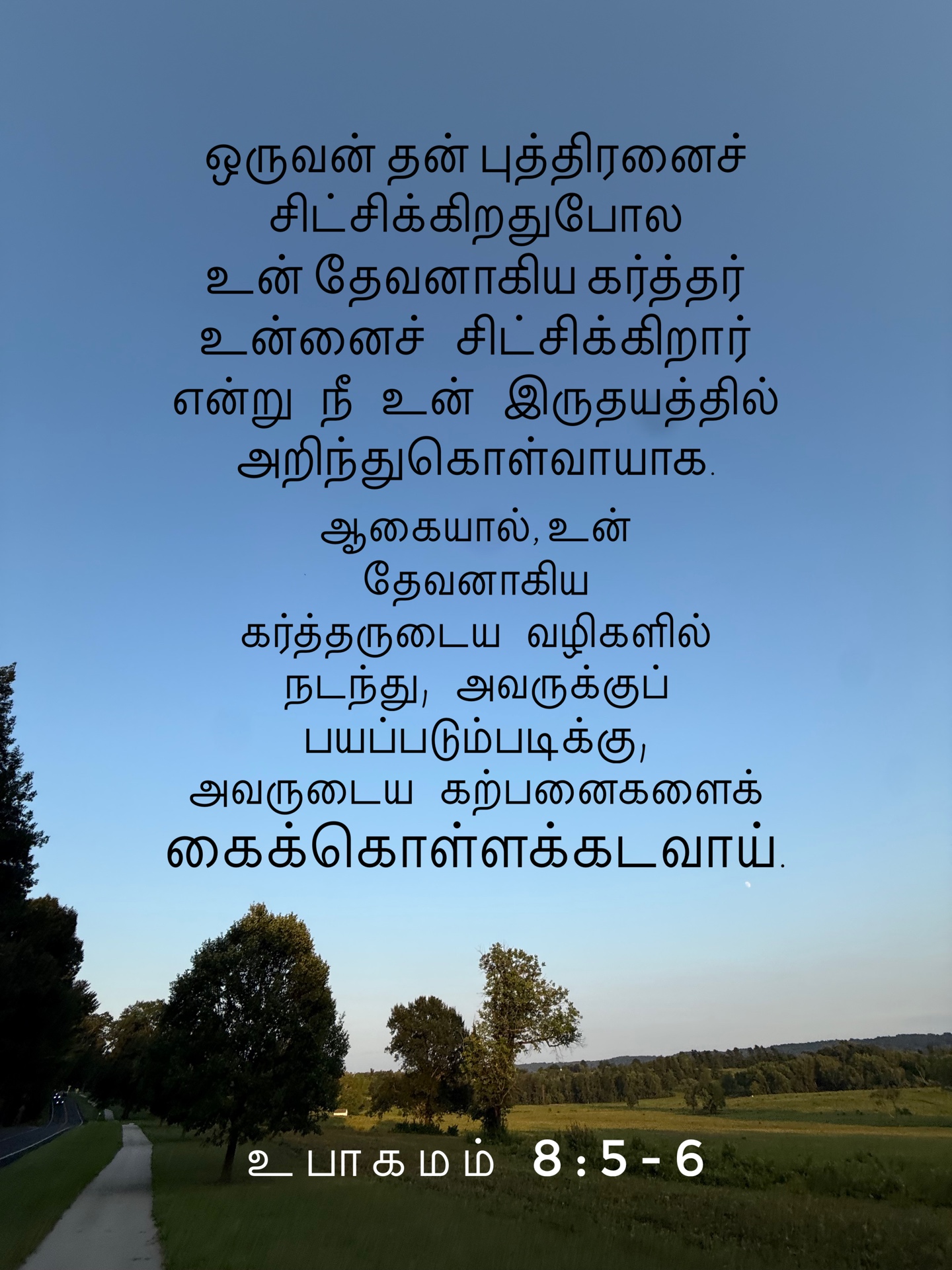 Deuteronomy 8:5-6