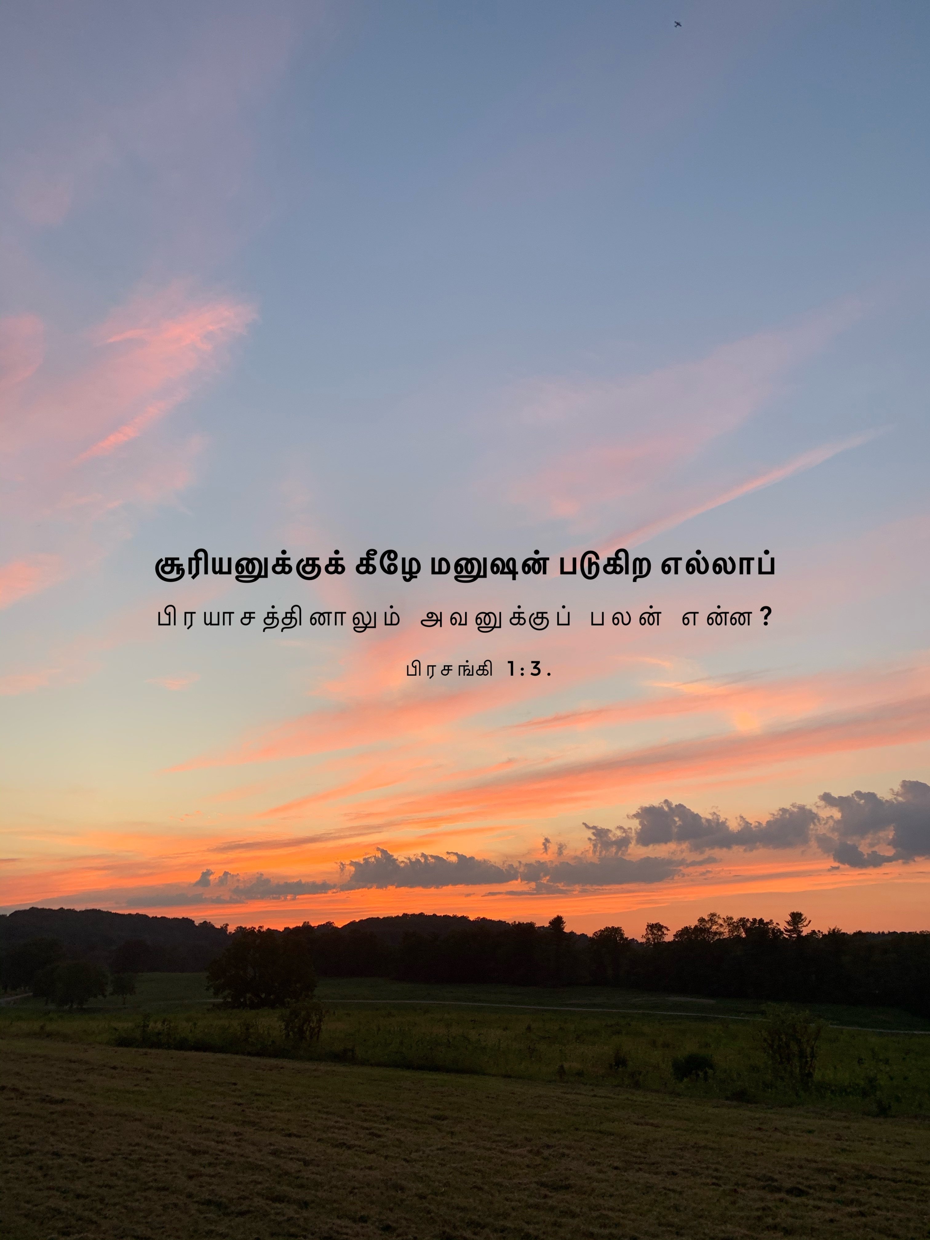 Ecclesiastes 1:3