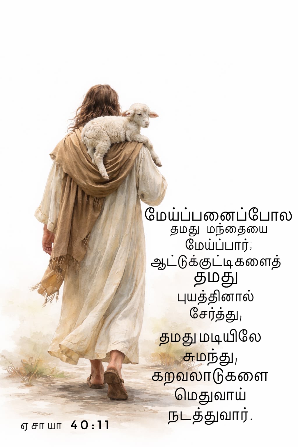 Isaiah 40:11 - வசனம் தமிழில்: "மேய்ப்பனைப்போல தமது மந்தையை மேய்ப்பார்; ஆட்டுக்குட்டிகளைத் தமது புயத்தினால் சேர்த்து, மடியிலே சுமந்து, கறவைகளைக் கவனமாய் நடத்துவார்