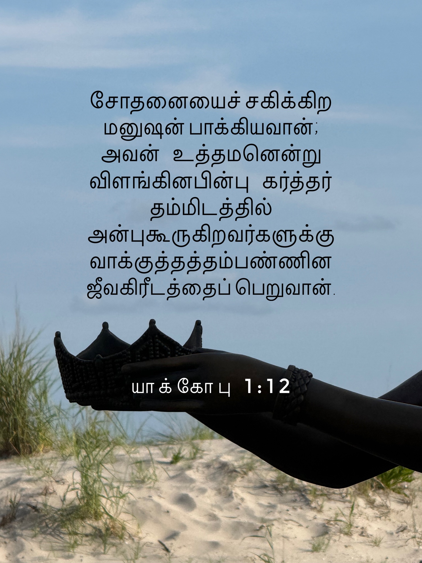 James 1:12 - சோதனையைச் சகிக்கிற மனுஷன் பாக்கியவான்; அவன் உத்தமனென்று விளங்கினபின்பு கர்த்தர் தம்மிடத்தில் அன்புகூருகிறவர்களுக்கு வாக்குத்தத்தம் பண்ணின ஜீவகிரீடத்தைப் பெறுவான்