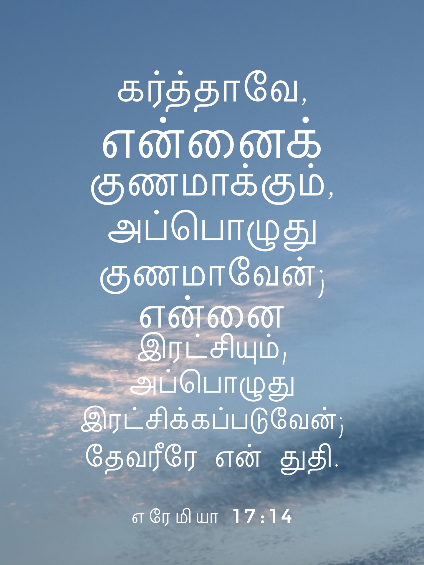 Jeremiah 17:14 - கர்த்தாவே, என்னைக் குணமாக்கும், அப்பொழுது குணமாவேன்; என்னை இரட்சியும், அப்பொழுது இரட்சிக்கப்படுவேன்; தேவரீரே என் துதி.