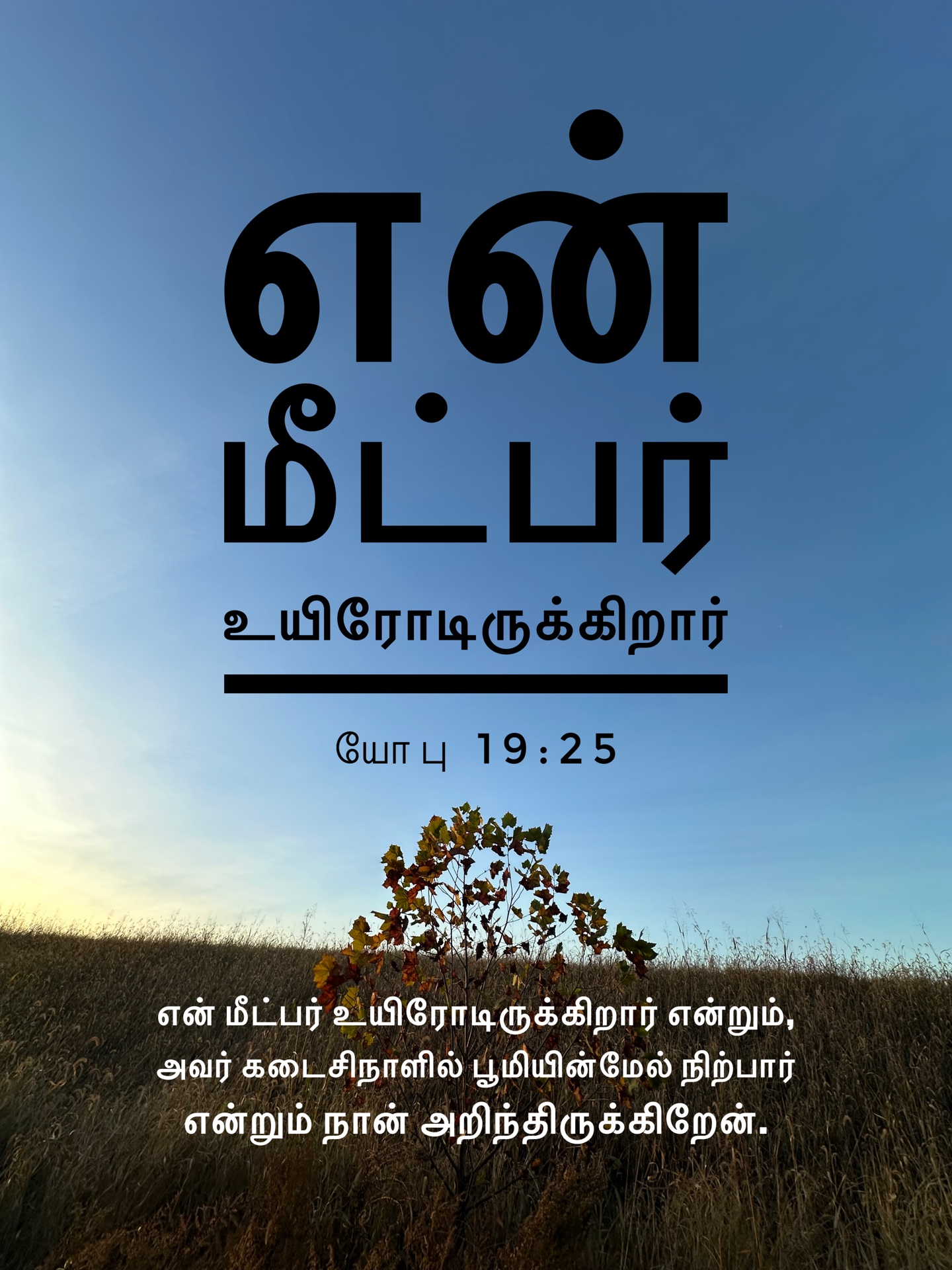 Job 19:25 - என் மீட்பர் உயிரோடிருக்கிறார் என்றும், அவர் கடைசி நாளில் பூமியின்மேல் நிற்பார் என்றும் நான் அறிந்திருக்கிறேன்.