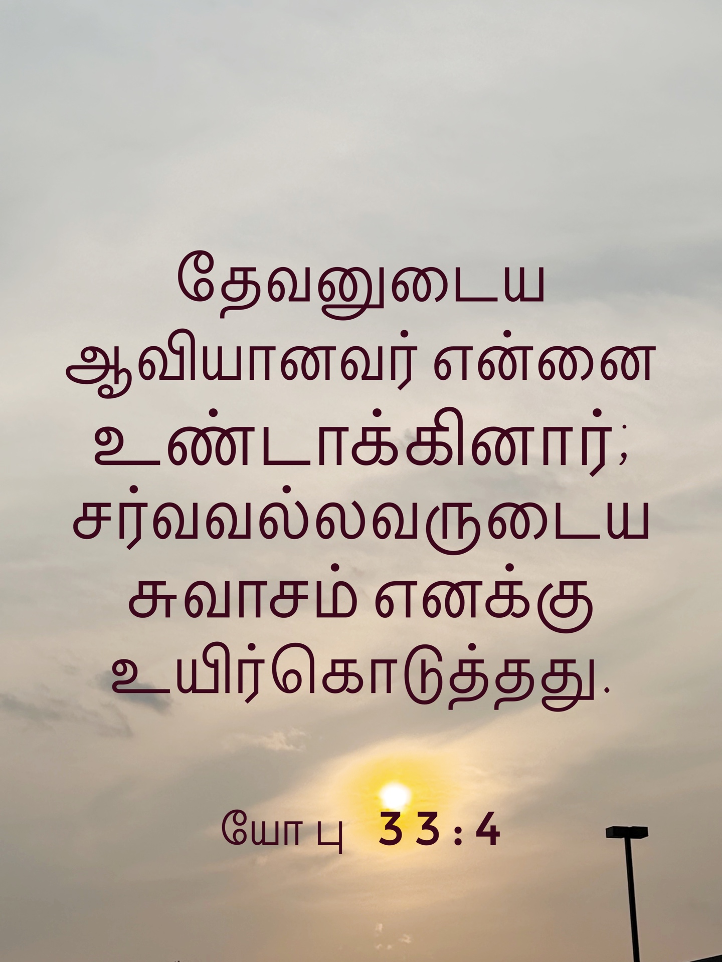 Job 33:4 - தேவனுடைய ஆவியானவர் என்னை உண்டாக்கினார்; சர்வவல்லவருடைய சுவாசம் எனக்கு உயிர்கொடுத்தது.