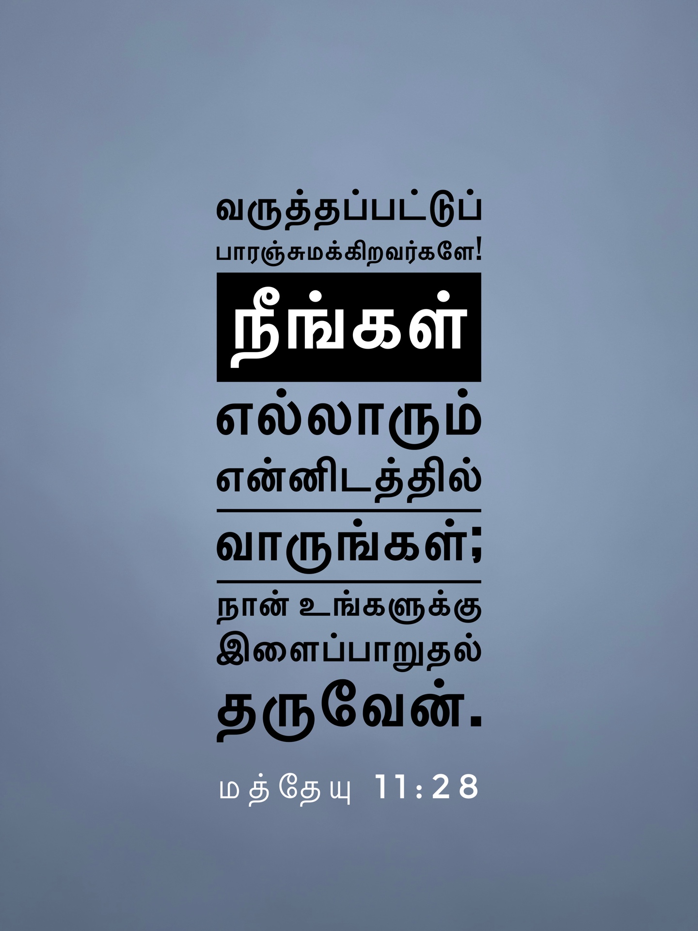 Matthew 11:28