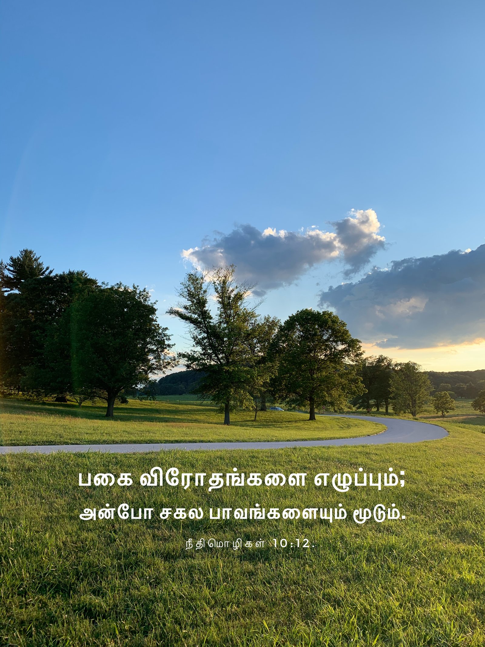 Proverbs 10:12