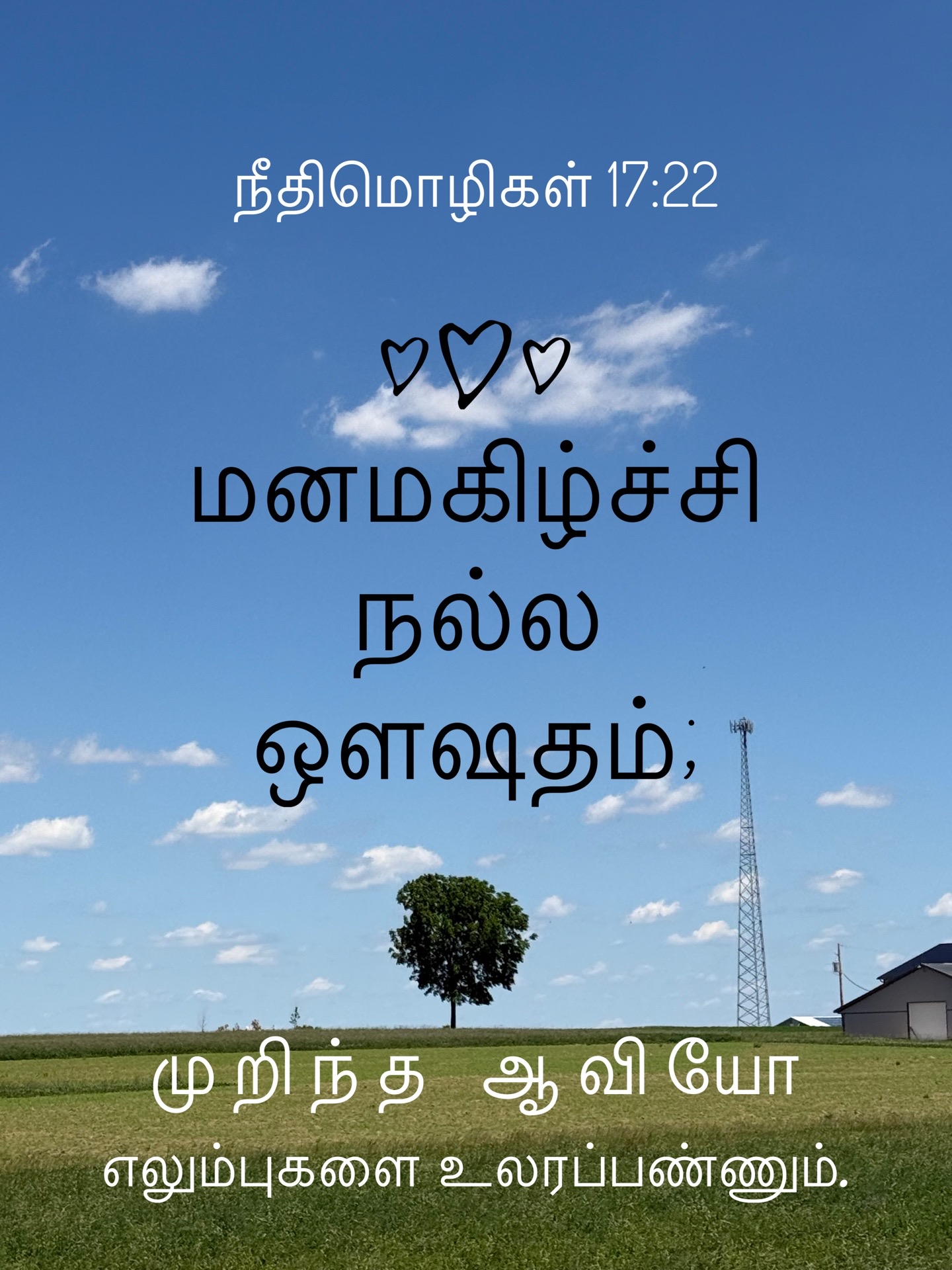 Proverbs 17:22 - மனமகிழ்ச்சி நல்ல ஒளஷதம், முறிந்த ஆவியோ எலும்புகளை உலரப்பண்ணும்.