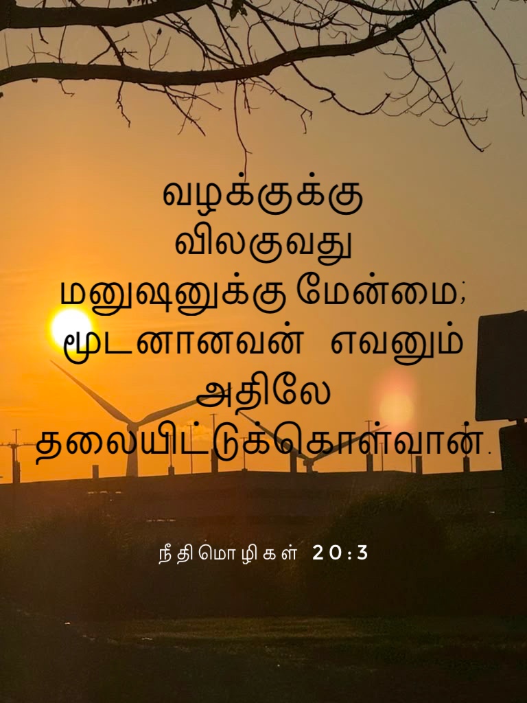 Proverbs 20:3 - வழக்குக்கு விலகுவது மனிதனுக்கு மேன்மை; மூடனானவன் எவனும் அதிலே தலையிட்டுக்கொள்வான்