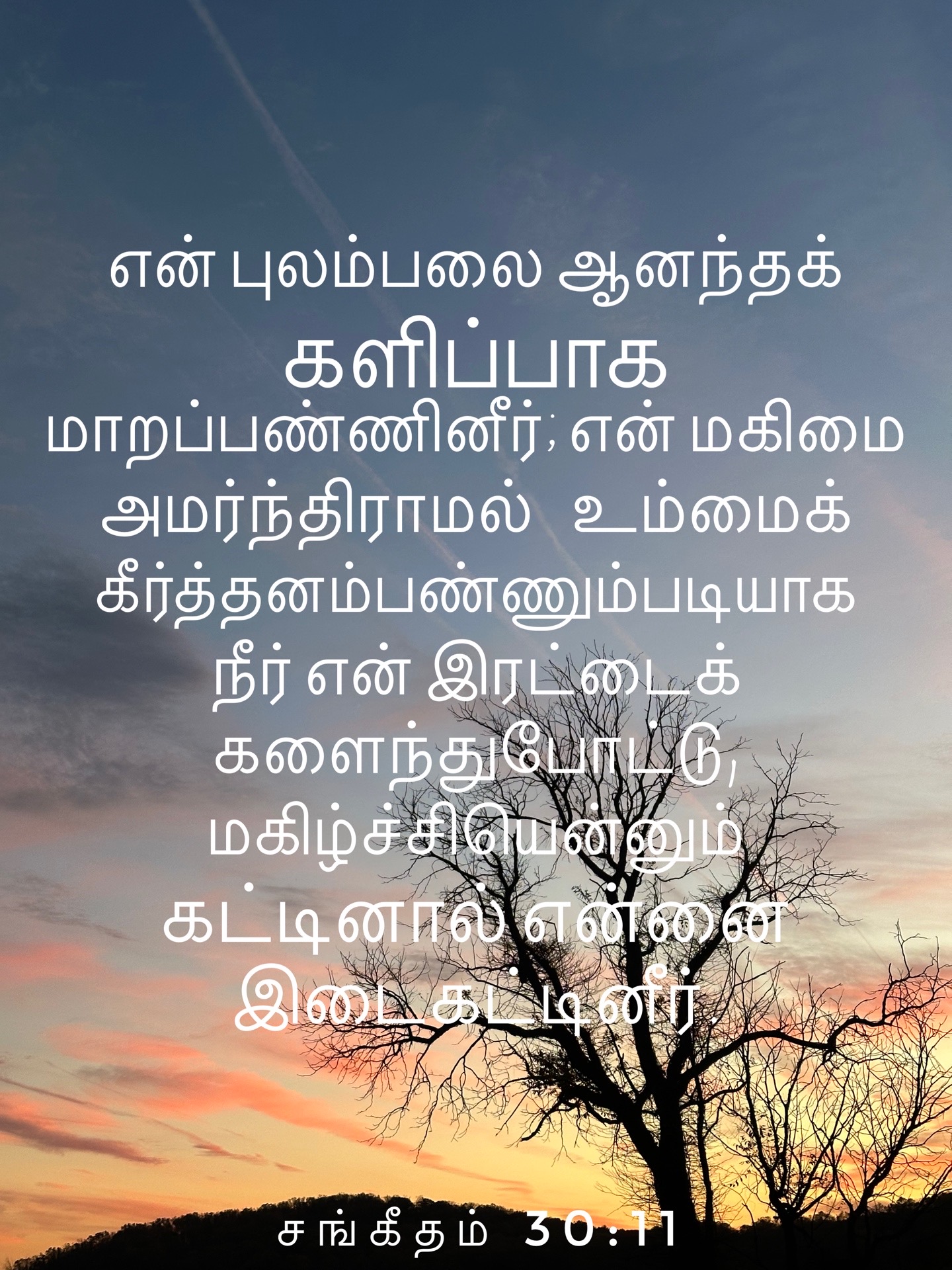 Psalm 30:11 - என் புலம்பலை ஆனந்தக் களிப்பாக மாறப்பண்ணினீர்; என் மகிமை அமர்ந்திராமல் உம்மைக் கீர்த்தனம்பண்ணும்படியாக நீர் என் இரட்டைக் களைந்துபோட்டு, மகிழ்ச்சியென்னும் கட்டினால் என்னை இடைகட்டினீர்