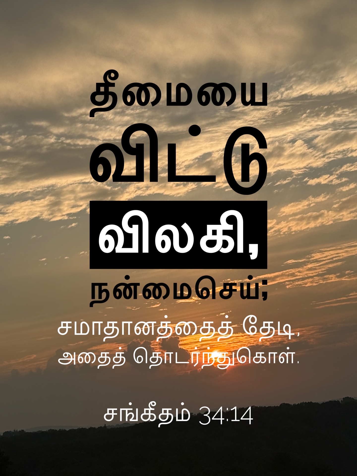 Psalm 34:14 - தீமையை விட்டு விலகி, நன்மை செய்; சமாதானத்தைத் தேடி, அதைத் தொடர்ந்துகொள்.