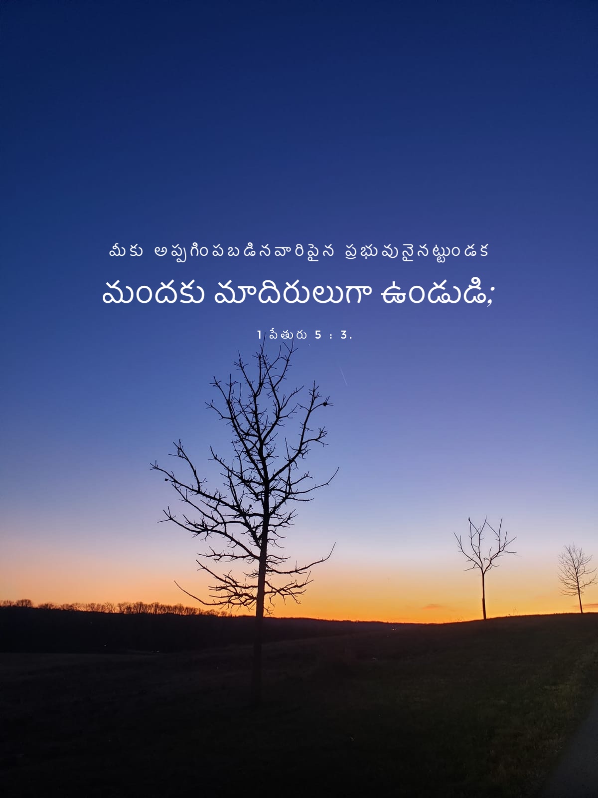 1 Peter 5:3
