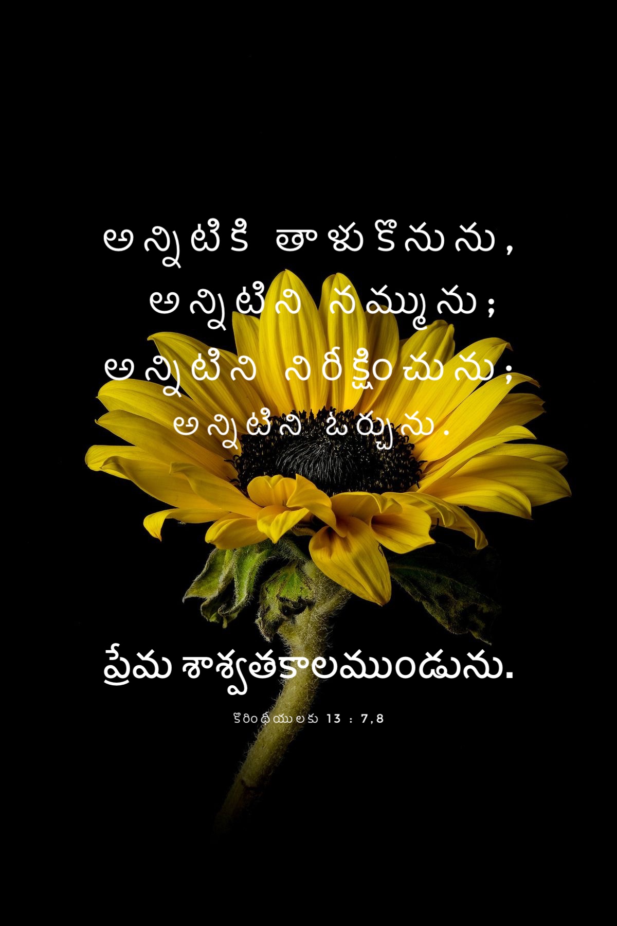1 Corinthians 13:7-8