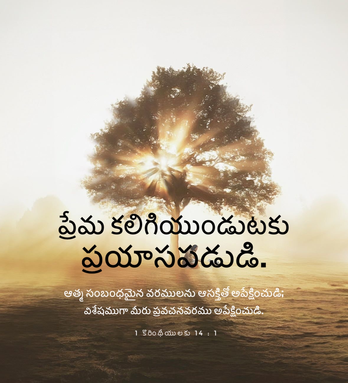 1 Corinthians 14:1