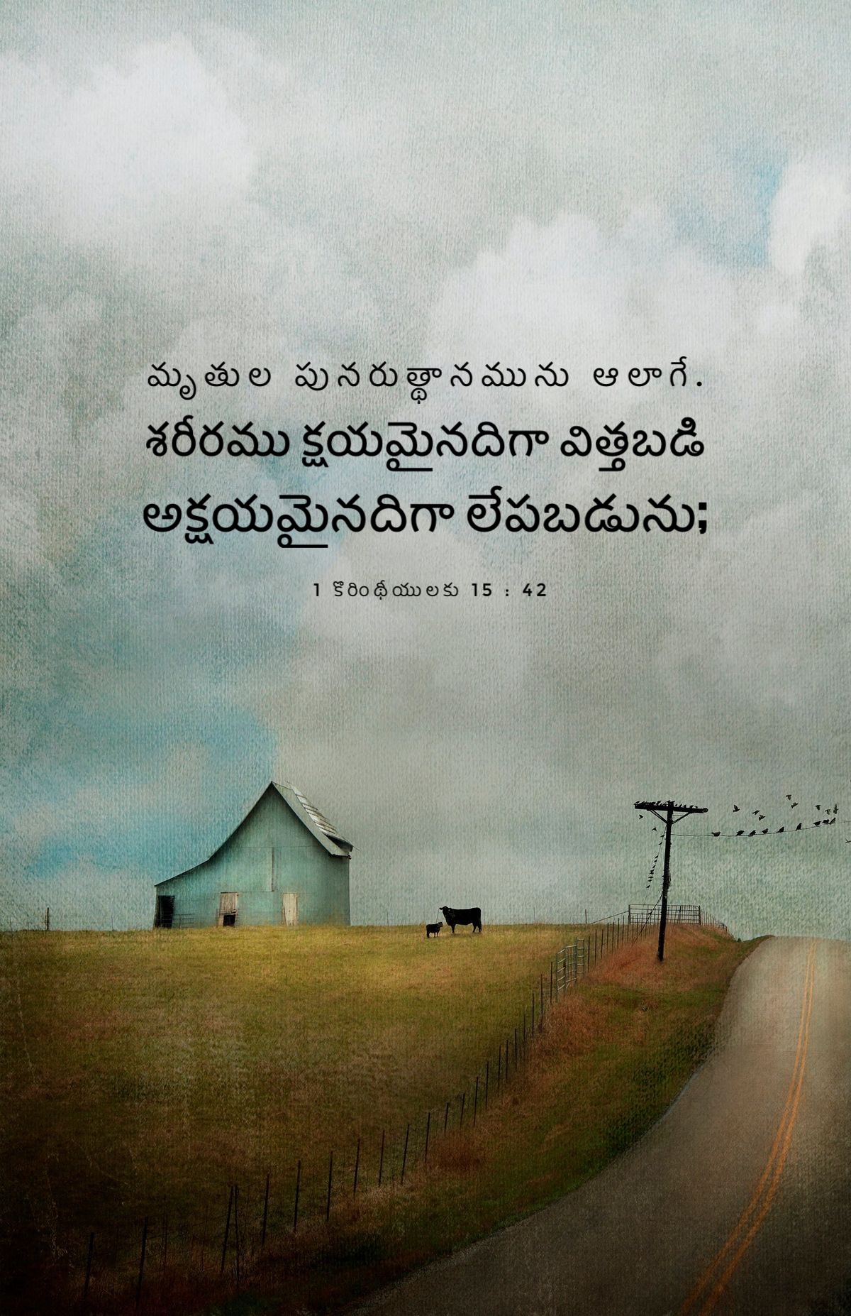 1 Corinthians 15:42