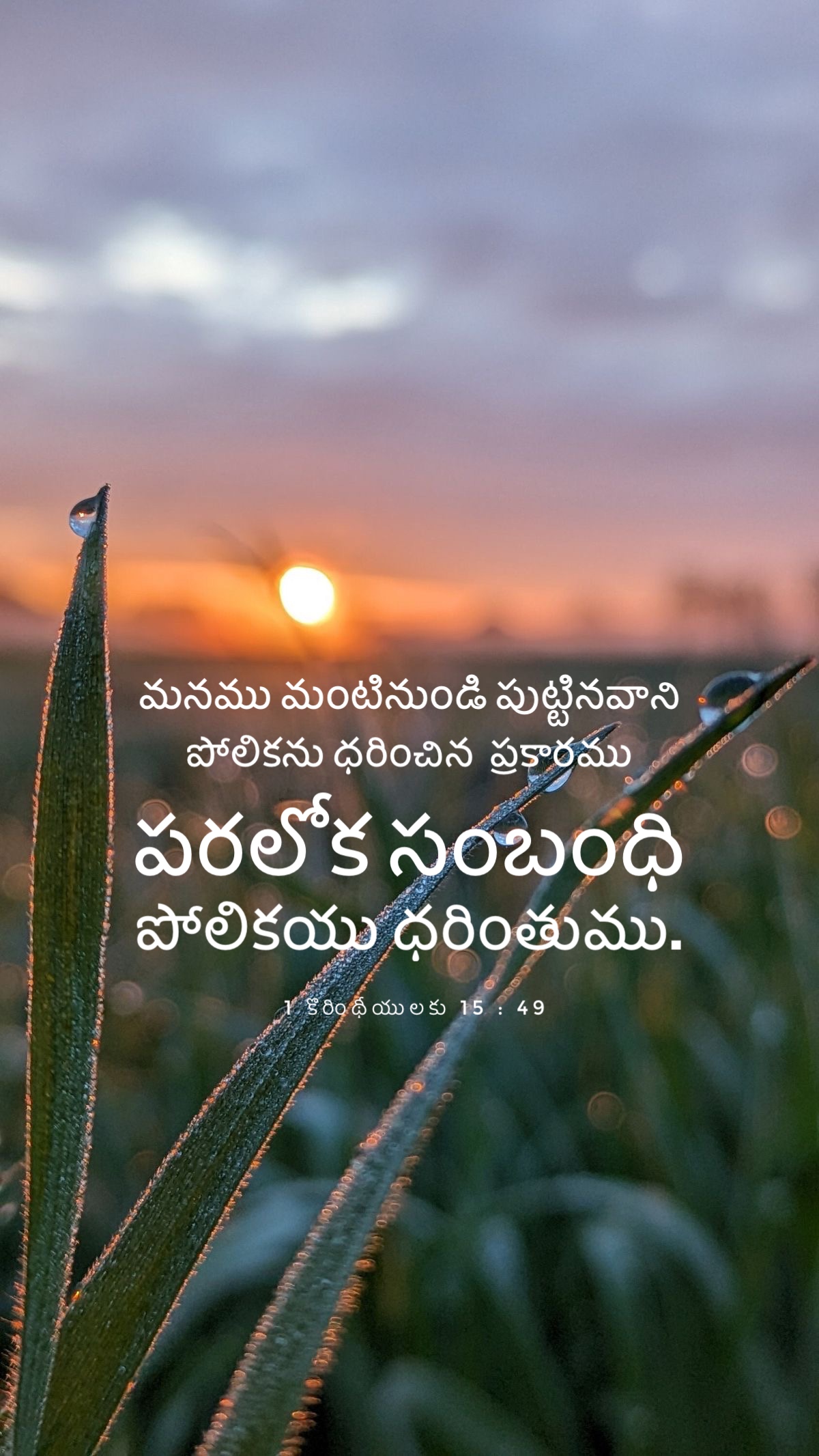 1 Corinthians 15:49