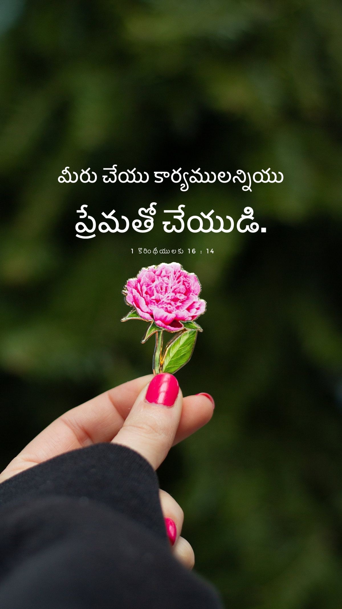 1 Corinthians 16:14