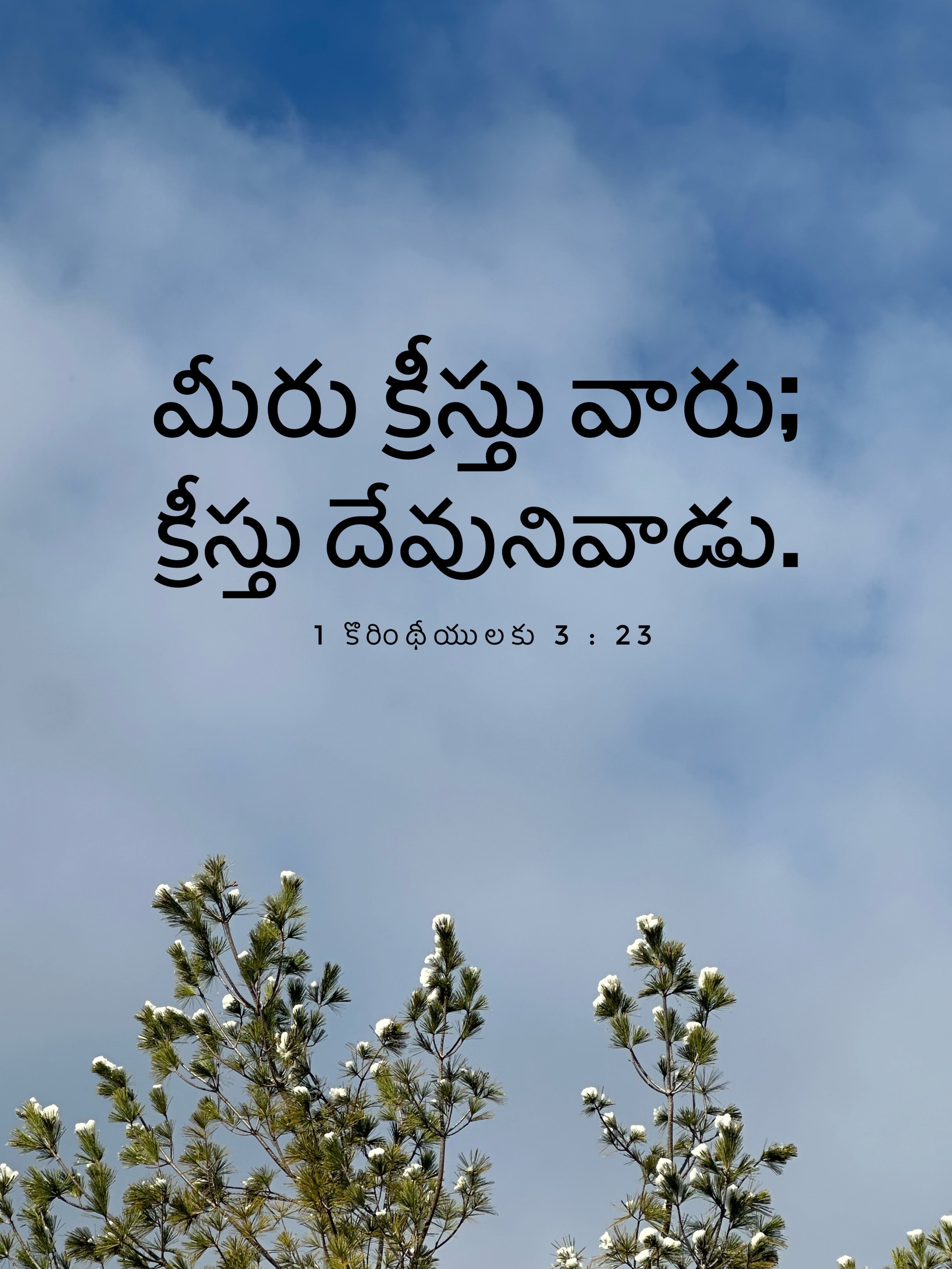 1 Corinthians 3:23