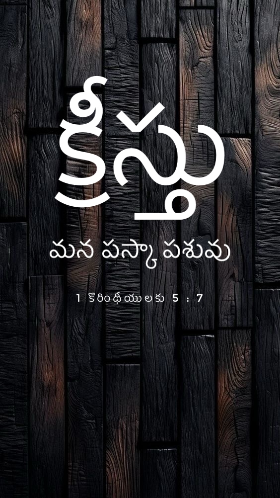 1 Corinthians 5:7