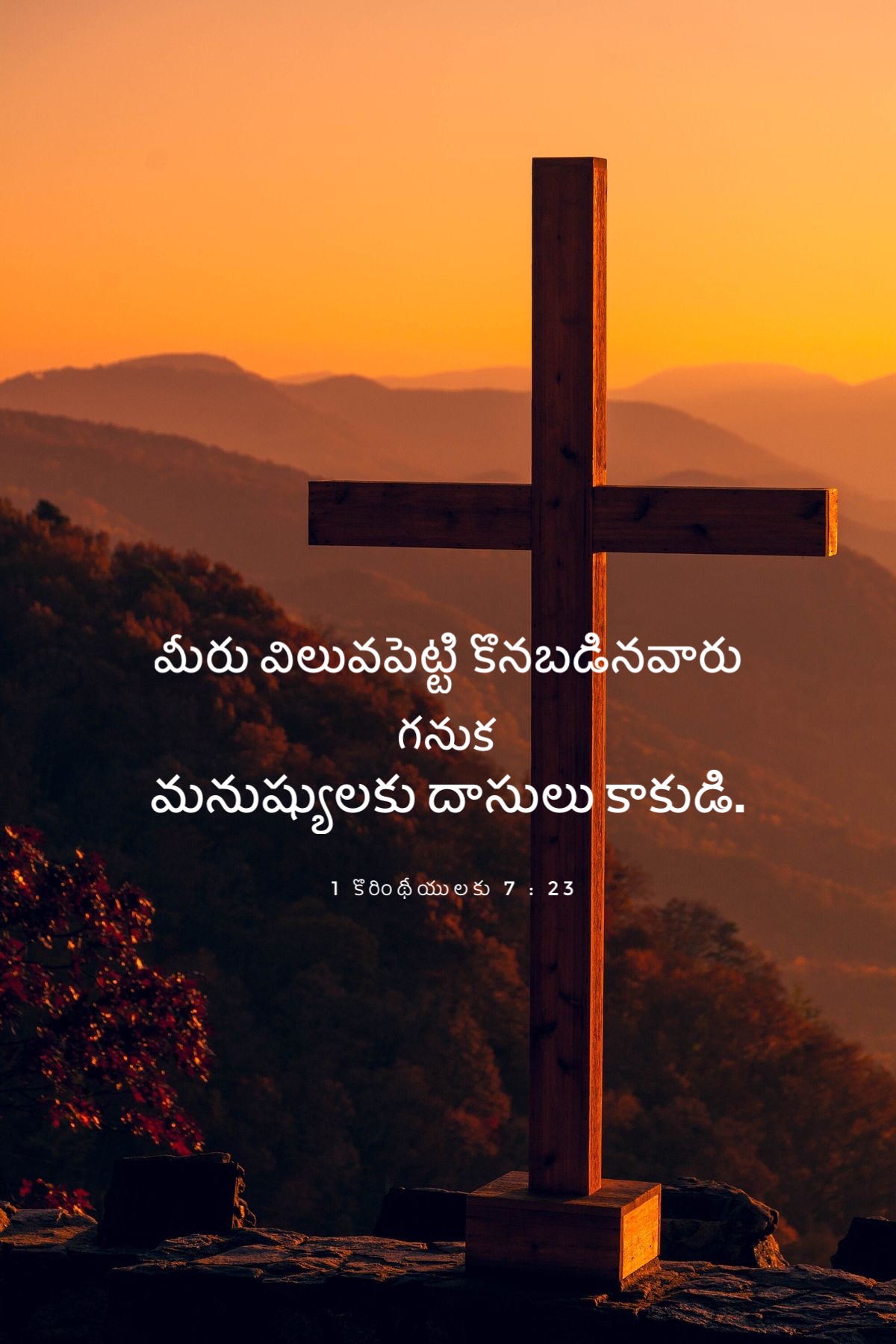 1 Corinthians 7:23