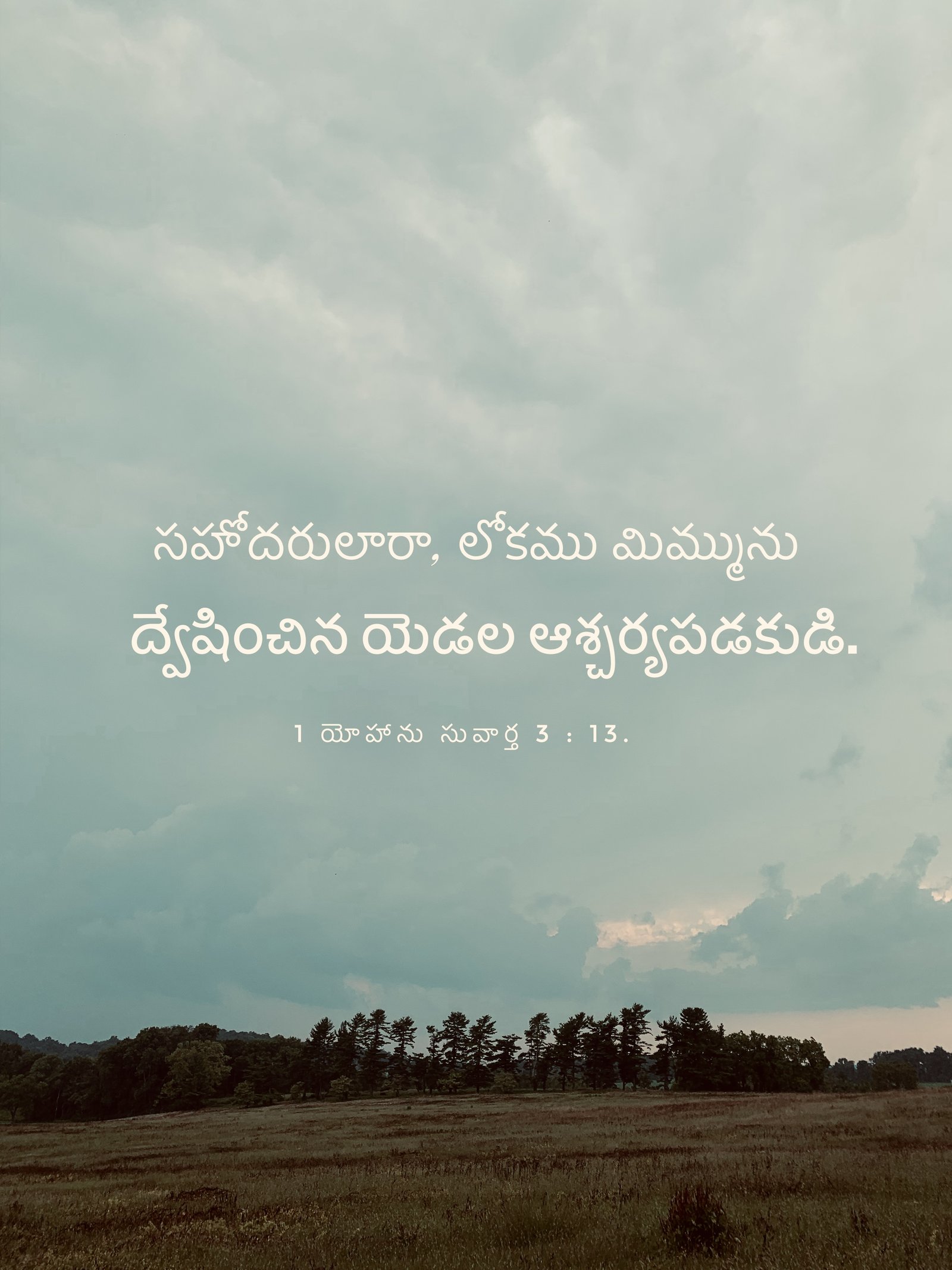 1 John 3:13
