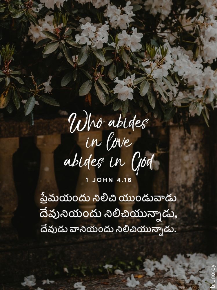 1 John 4:16