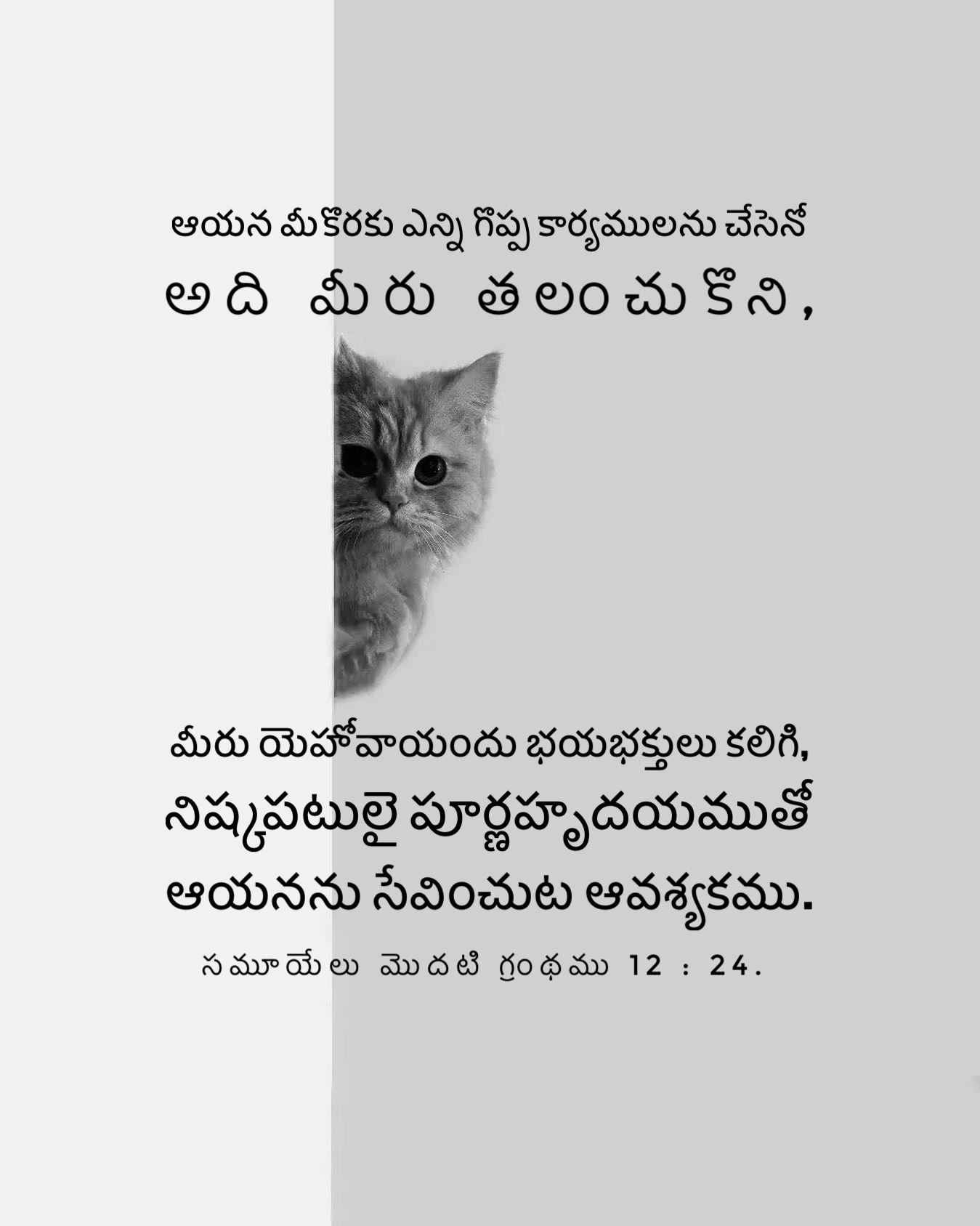 1 Samuel 12:24