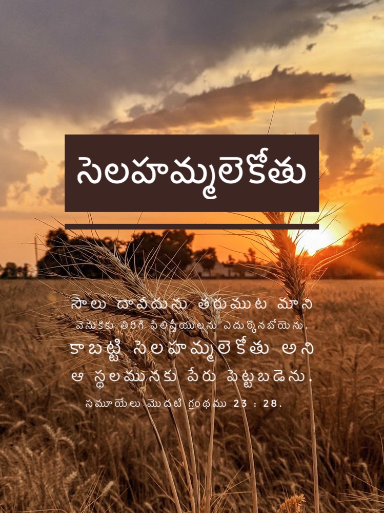 1 Samuel 23:28